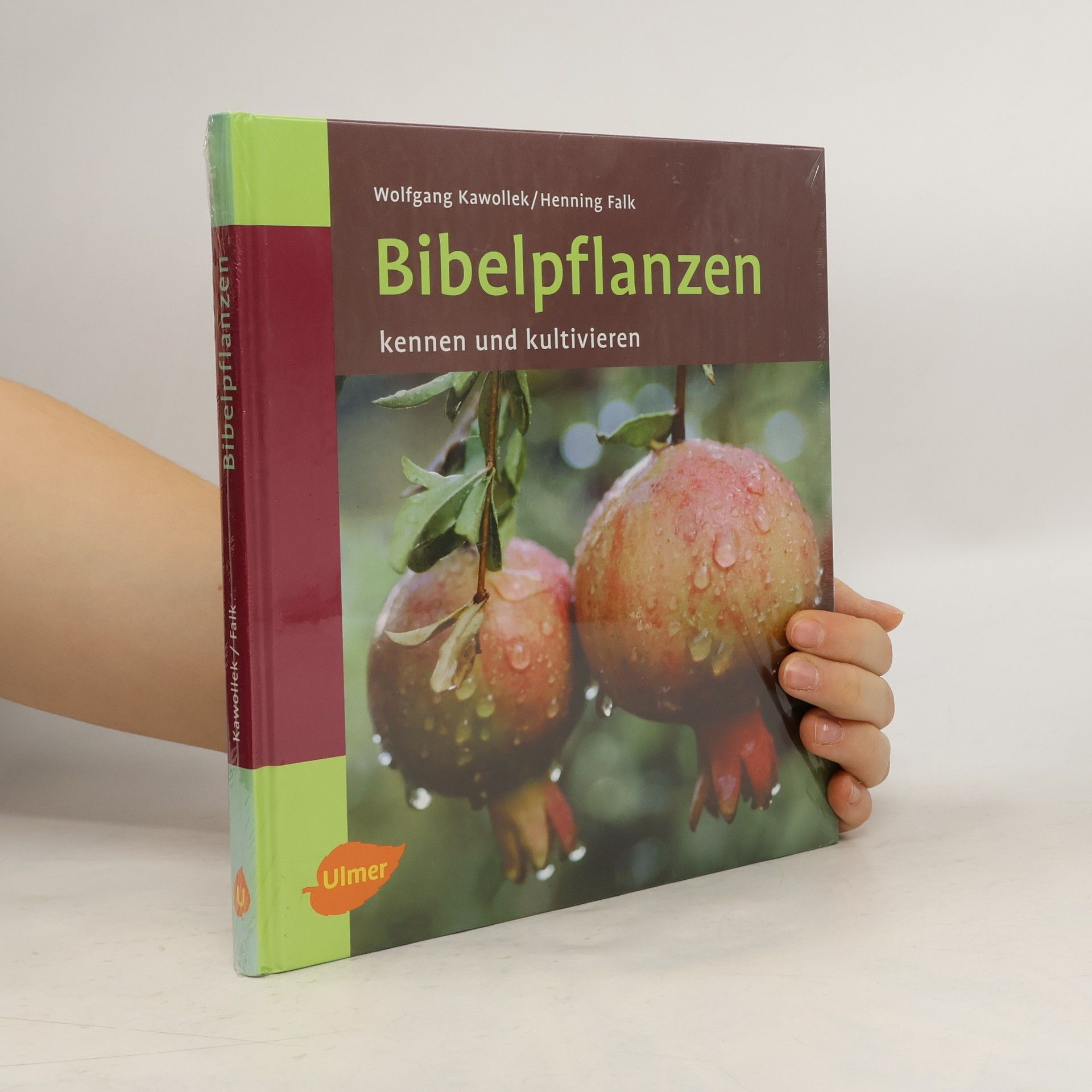 Bibelpflanzen