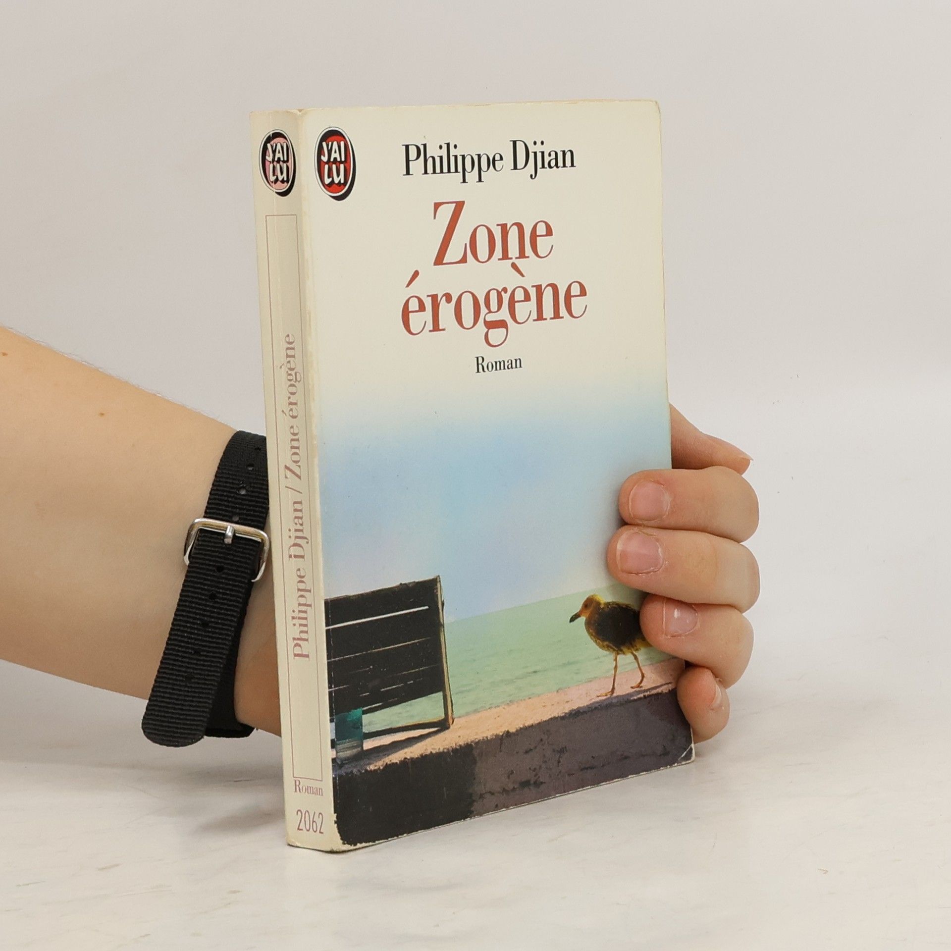 Philippe Djian Zone érogène