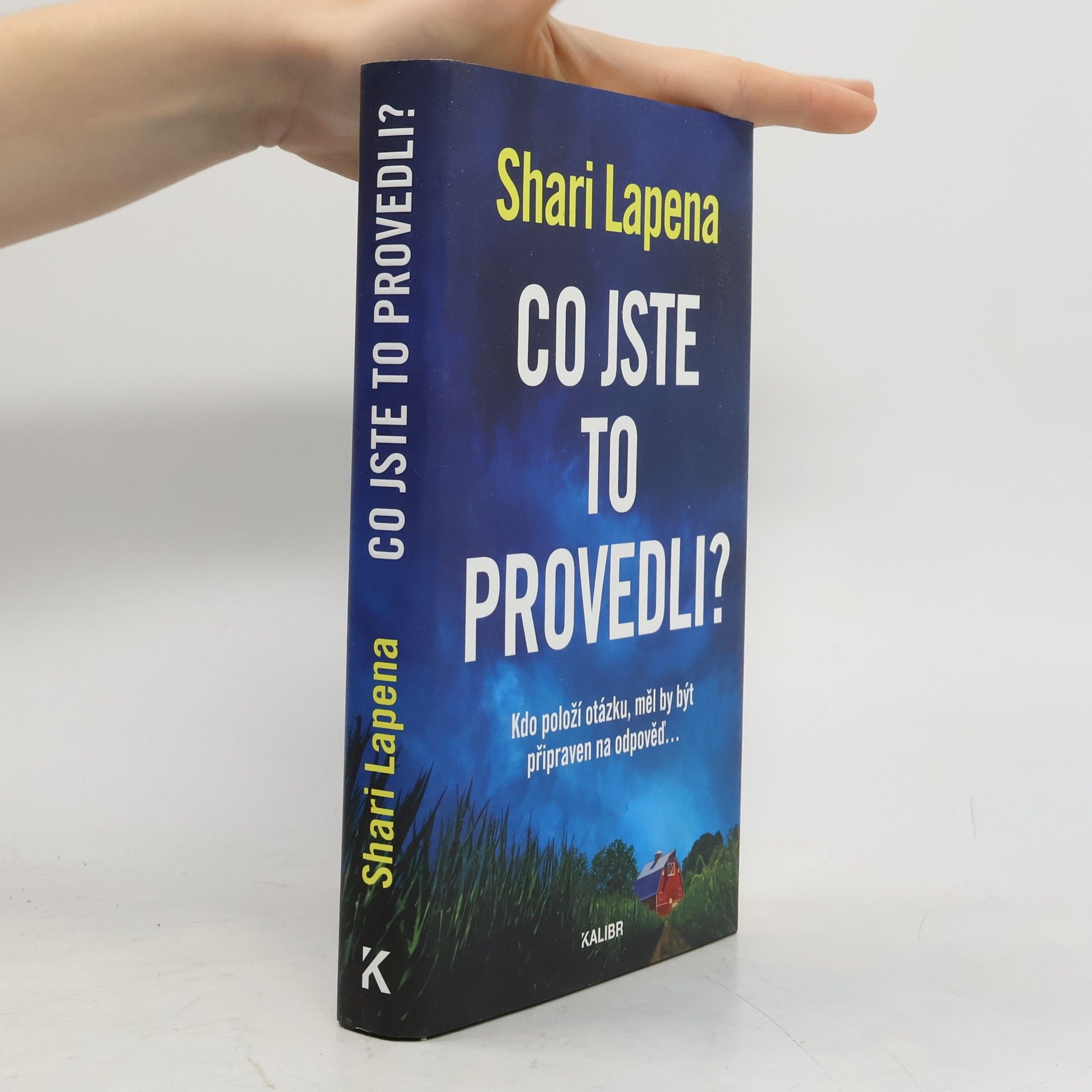 Shari Lapena Co jste to provedli?