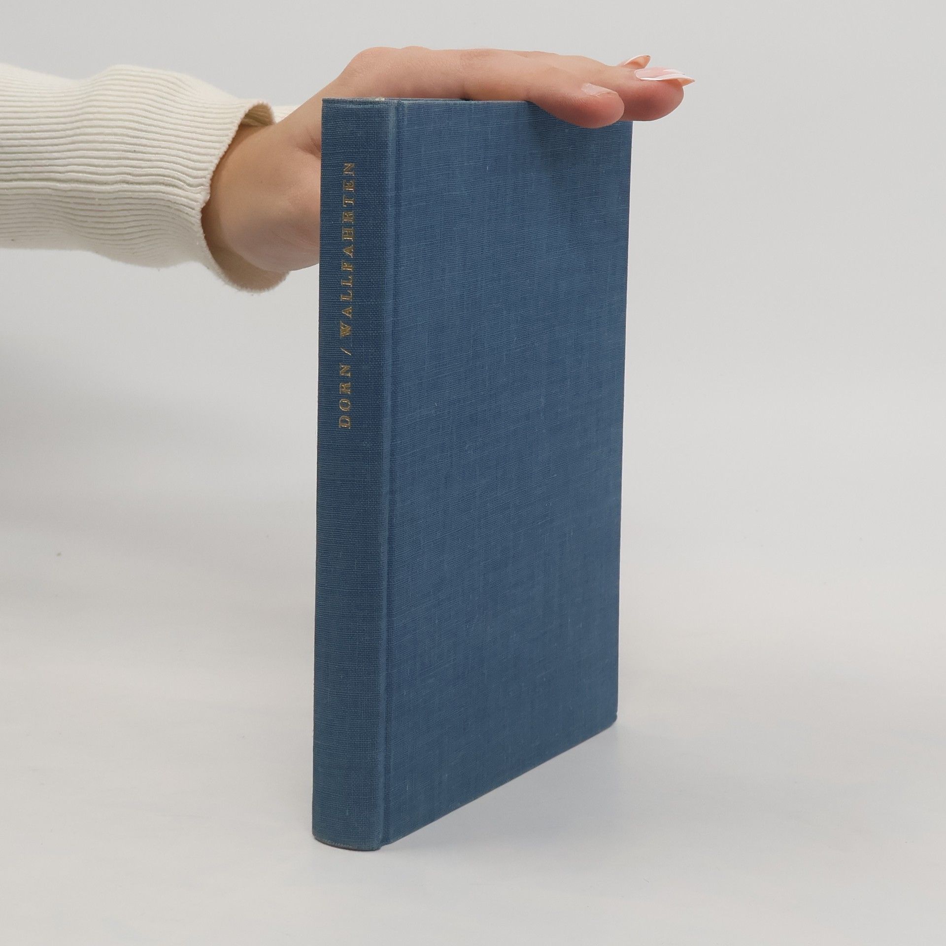 Die Marienwallfahrten