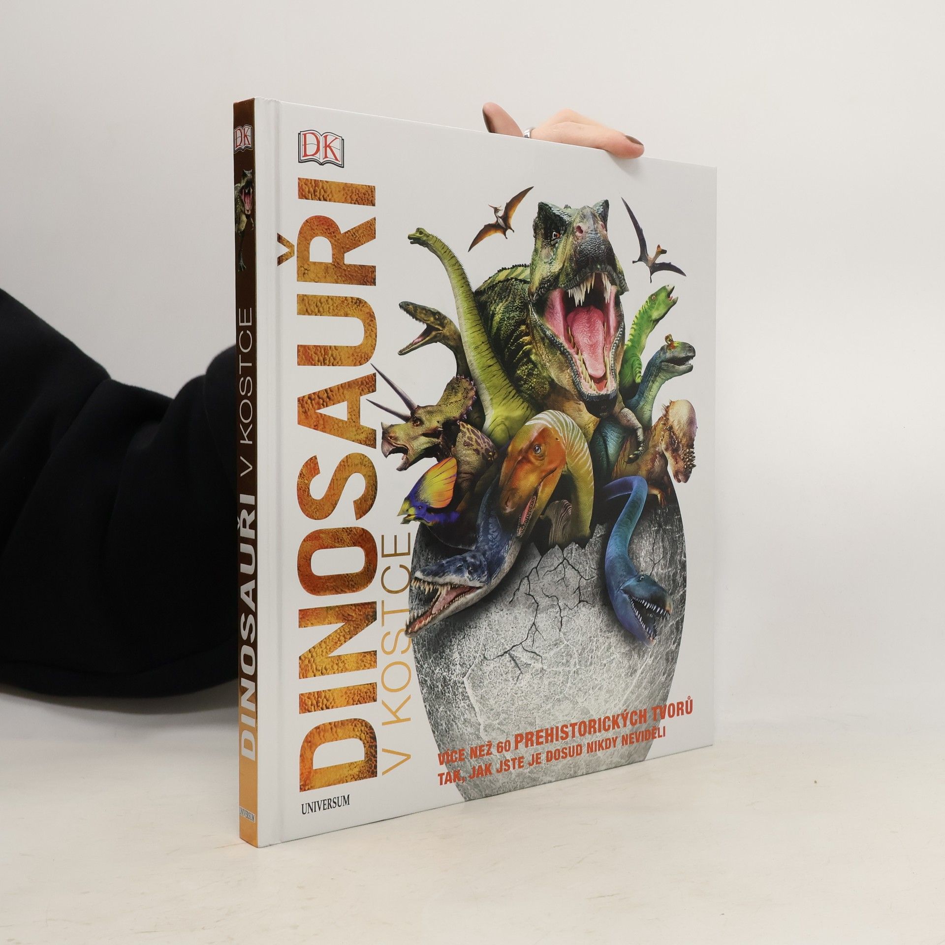 Various authors Dinosauři v kostce