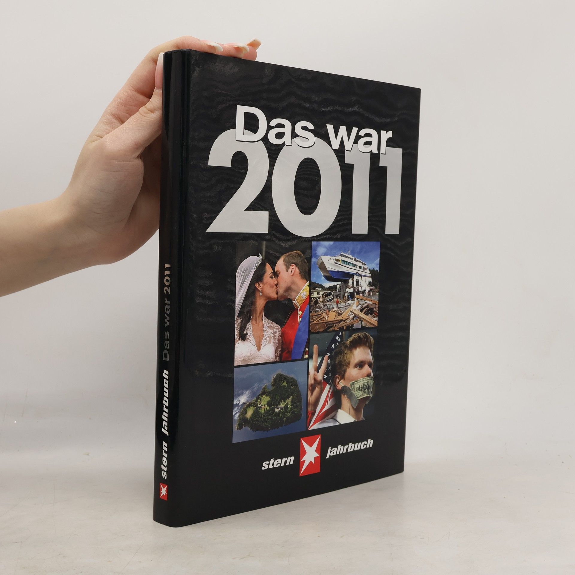 Autorenkollektiv Das war 2011