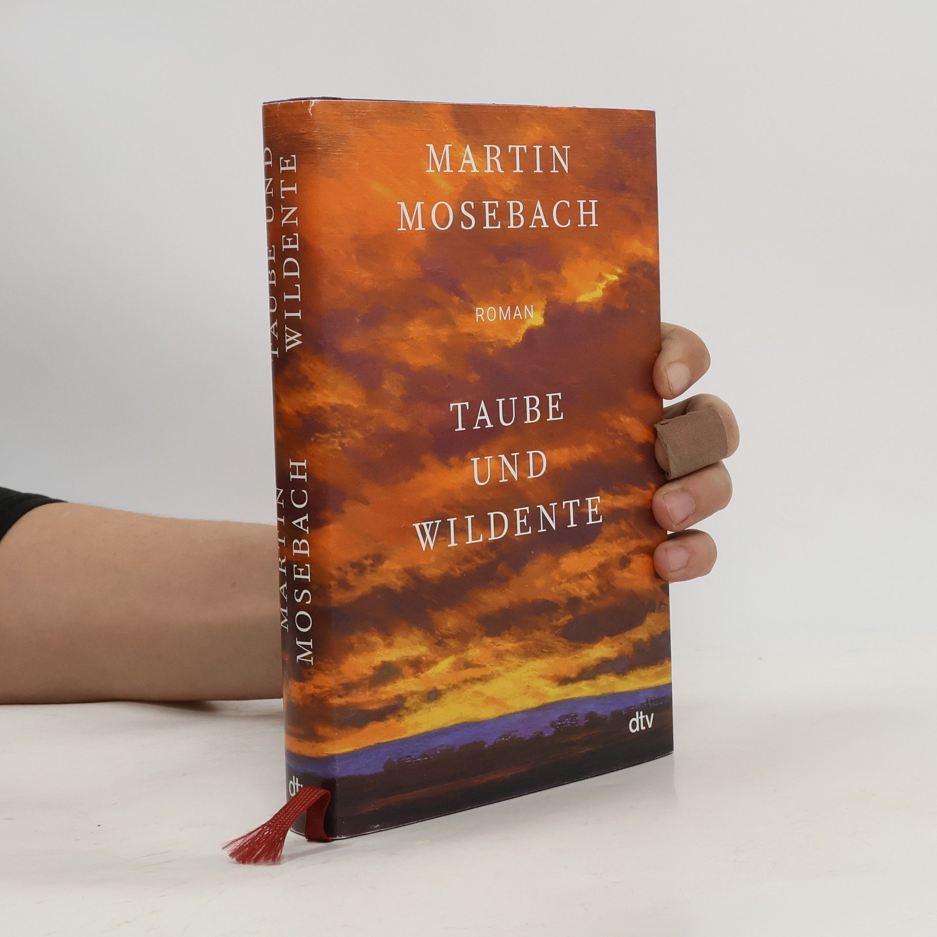 Martin Mosebach Taube und Wildente