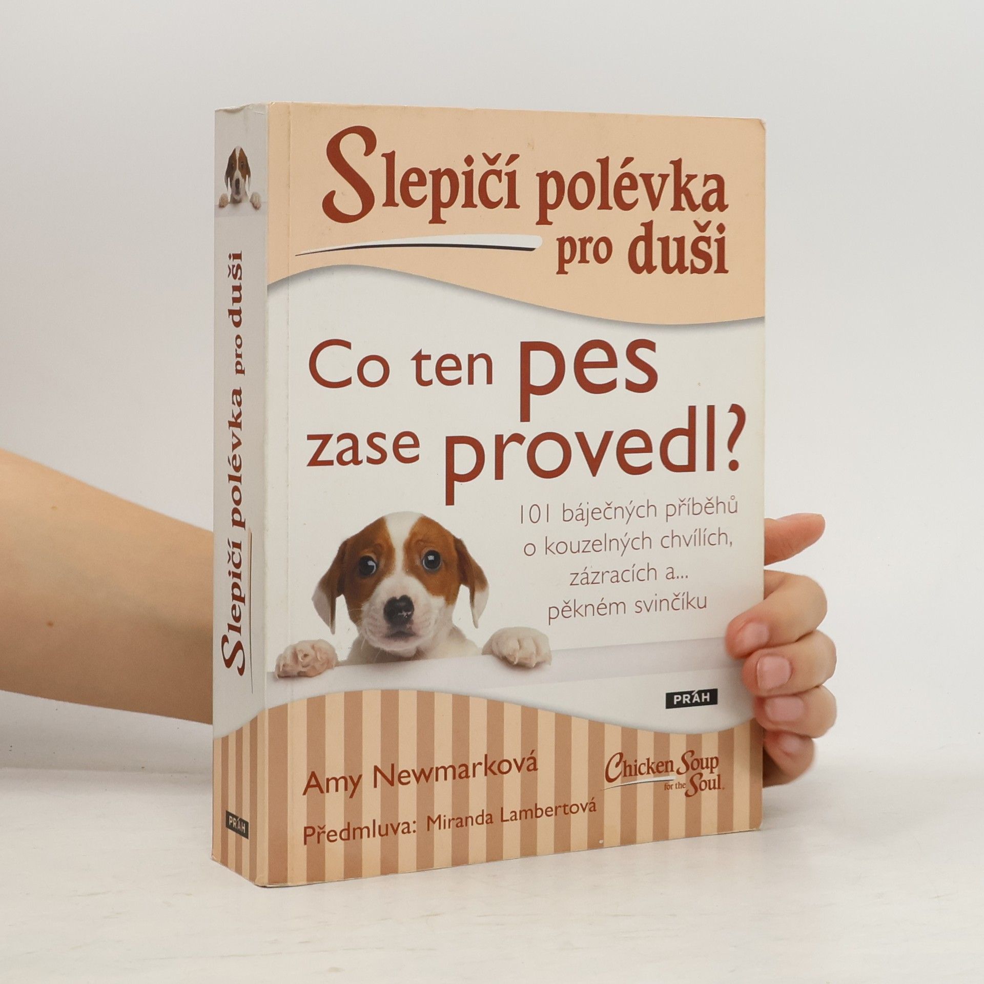 Amy Newmark Slepičí polévka pro duši. Co ten pes zase provedl?