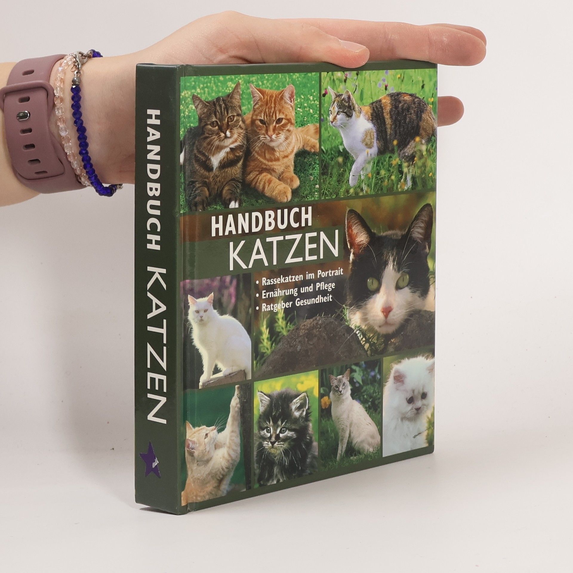 Collectif d'auteurs Handbuch Katzen. Rassekatzen im Portrait - Ernährung und Pflege - Ratgeber Gesundheit