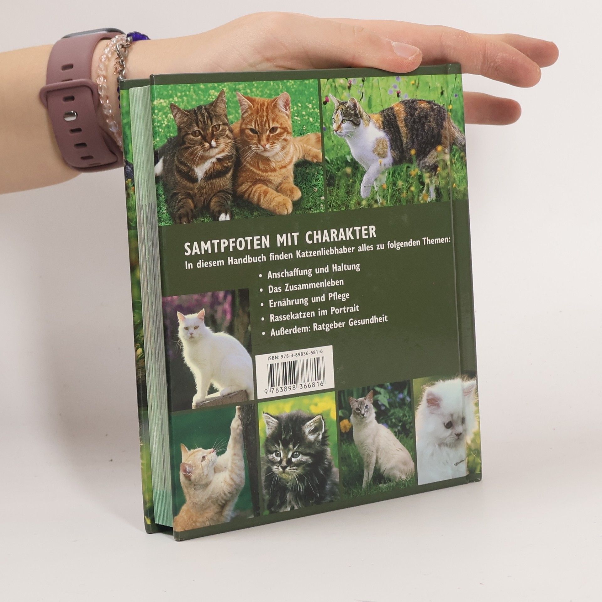 Handbuch Katzen. Rassekatzen im Portrait - Ernährung und Pflege - Ratgeber Gesundheit