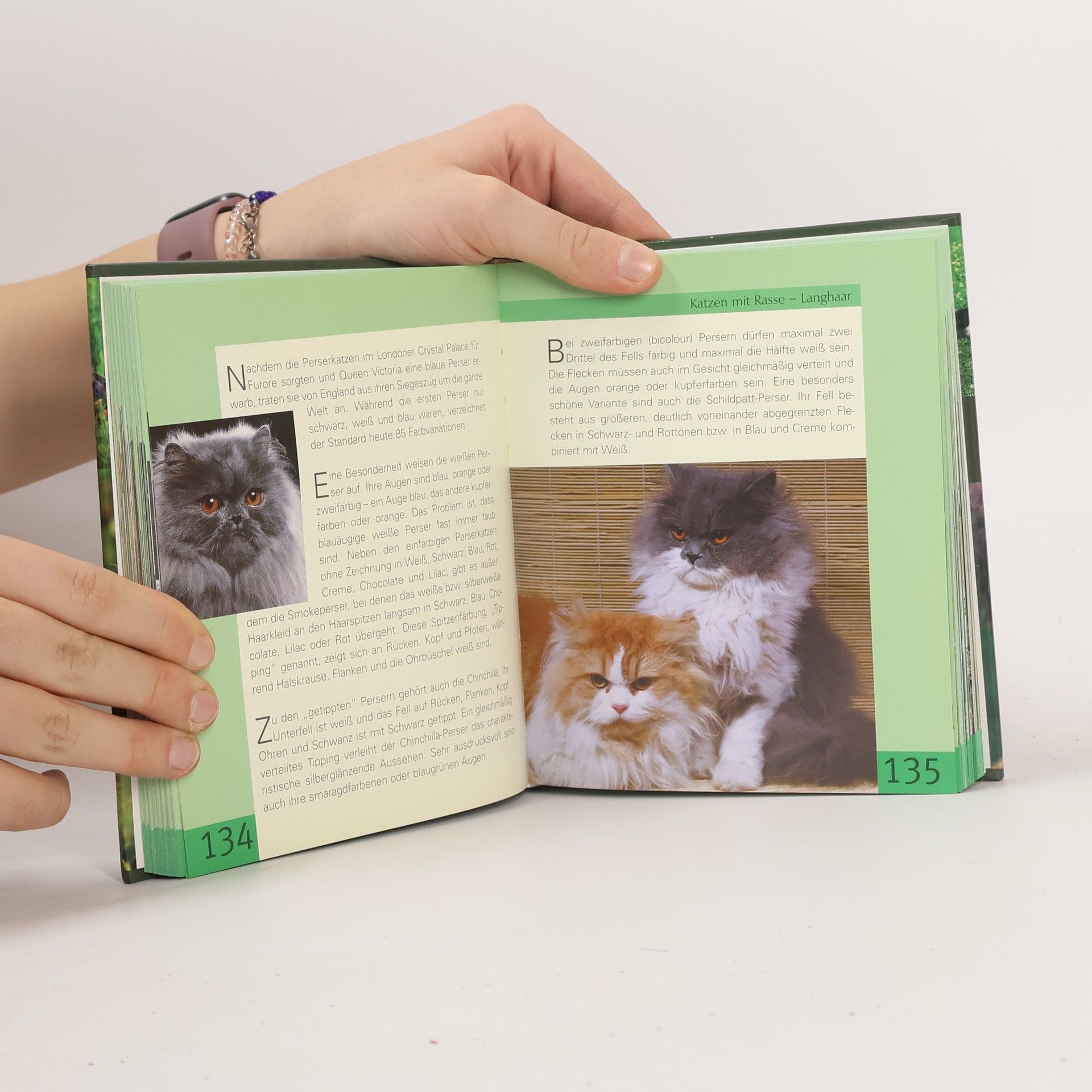 Handbuch Katzen. Rassekatzen im Portrait - Ernährung und Pflege - Ratgeber Gesundheit