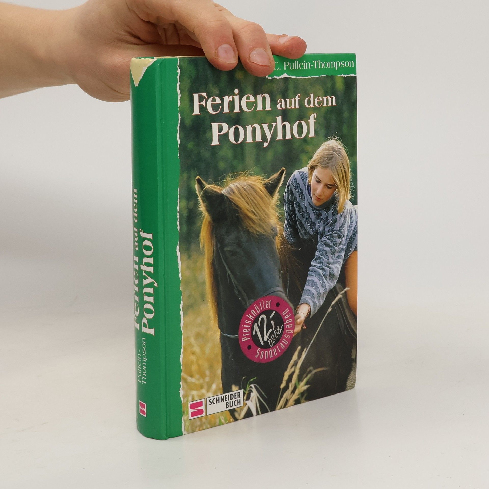 Ferien auf dem Ponyhof