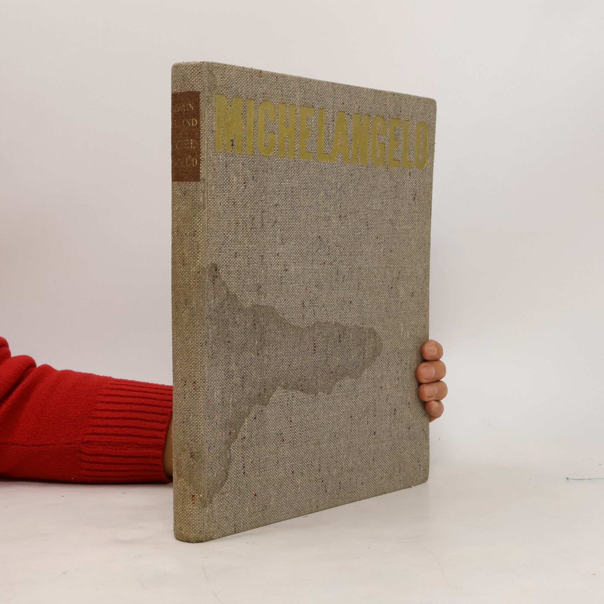 Romain Rolland Michelangelo Buonarroti