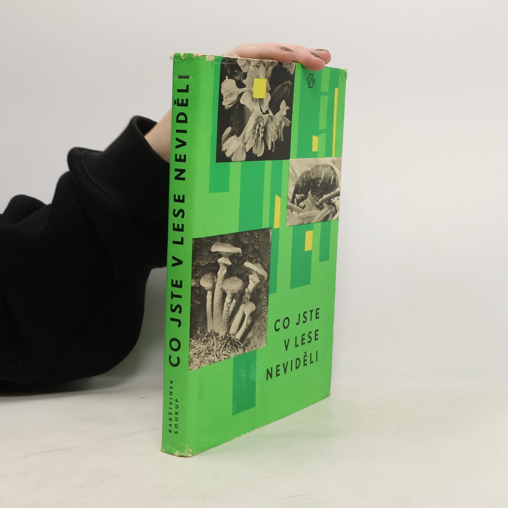 Co jste v lese neviděli