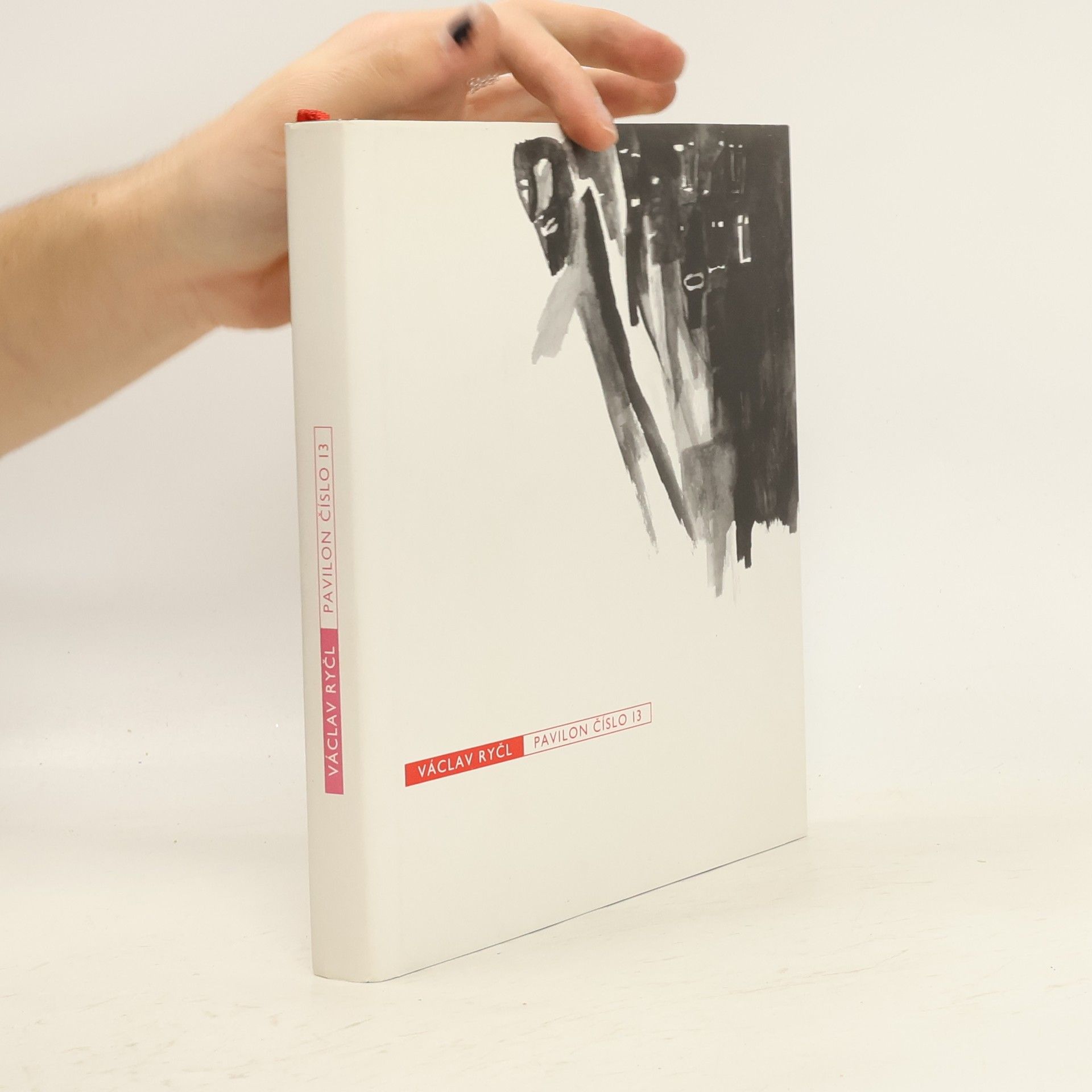 Václav Ryčl Pavilon číslo 13