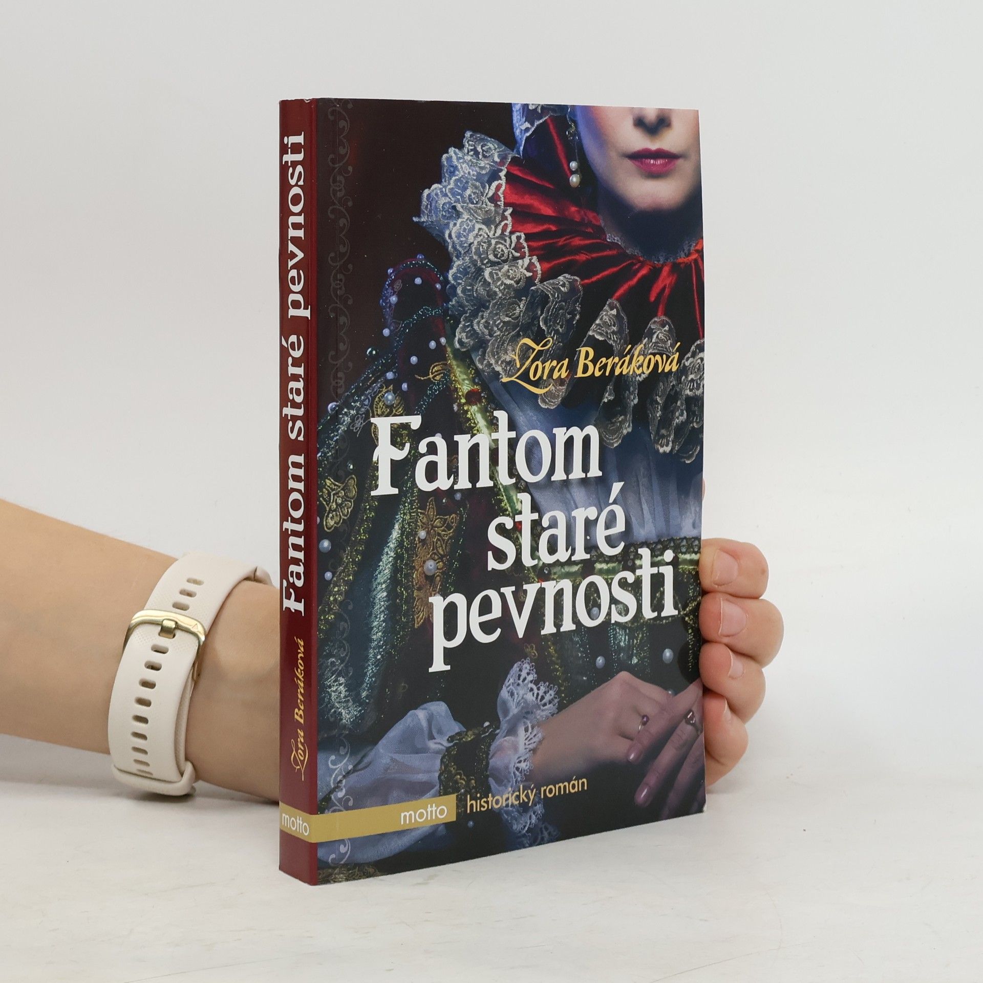 Fantom staré pevnosti : dobrodružný historický román