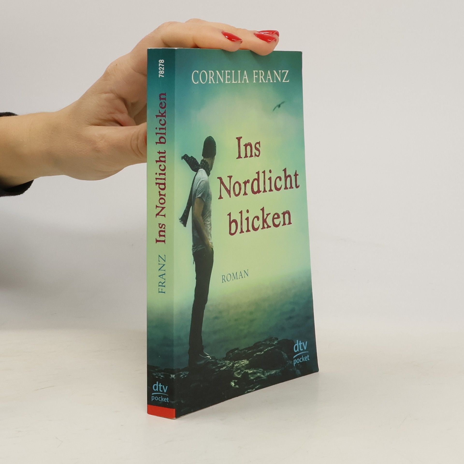Cornelia Franz Ins Nordlicht blicken