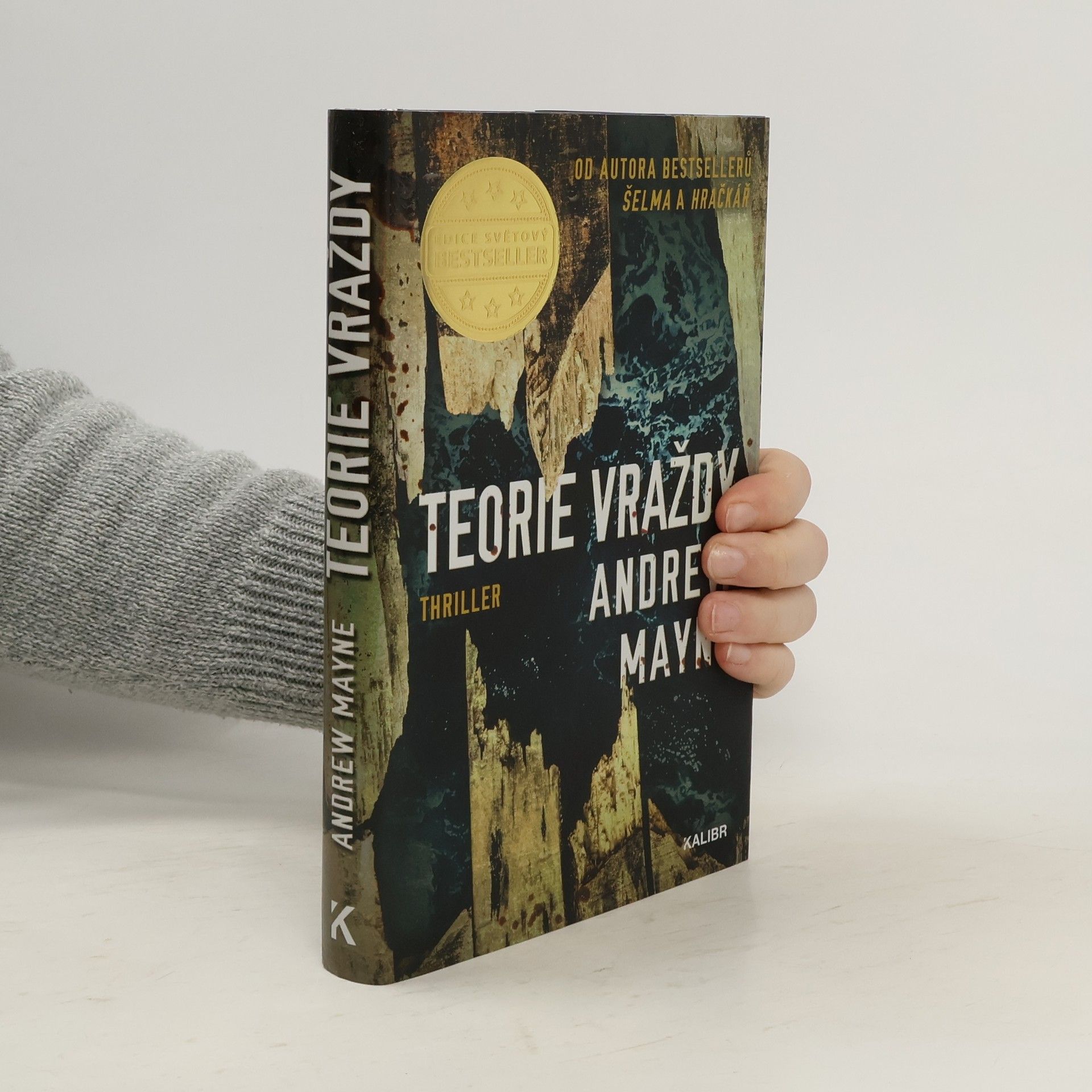 Andrew Mayne Teorie vraždy