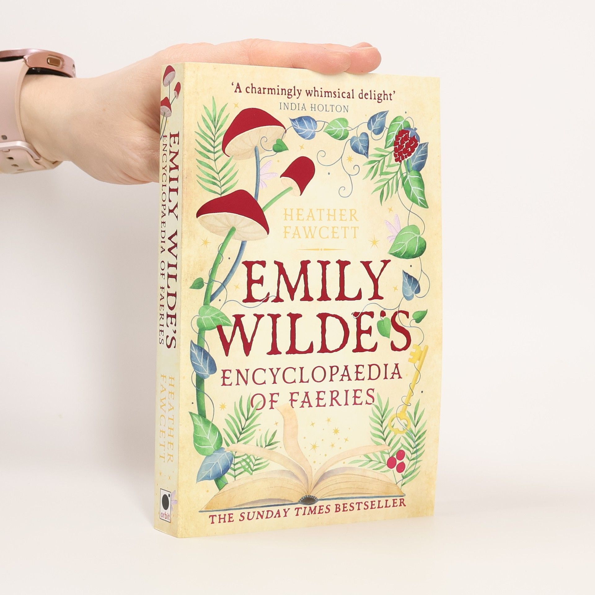 Heather Fawcett Emily Wilde's Encyclopaedia of Faeries