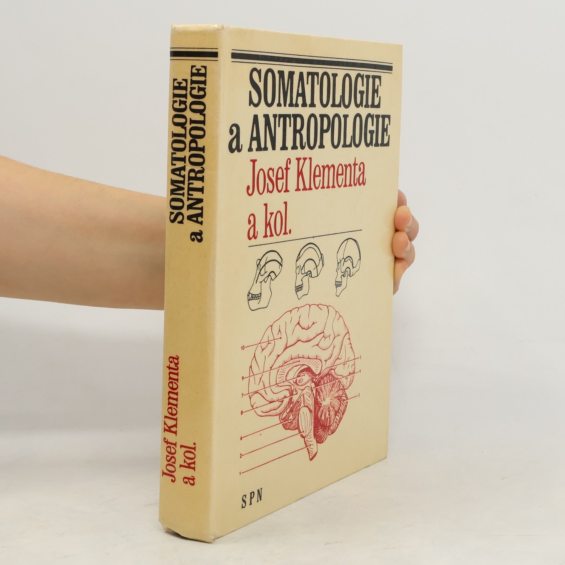 Somatologie a antropologie