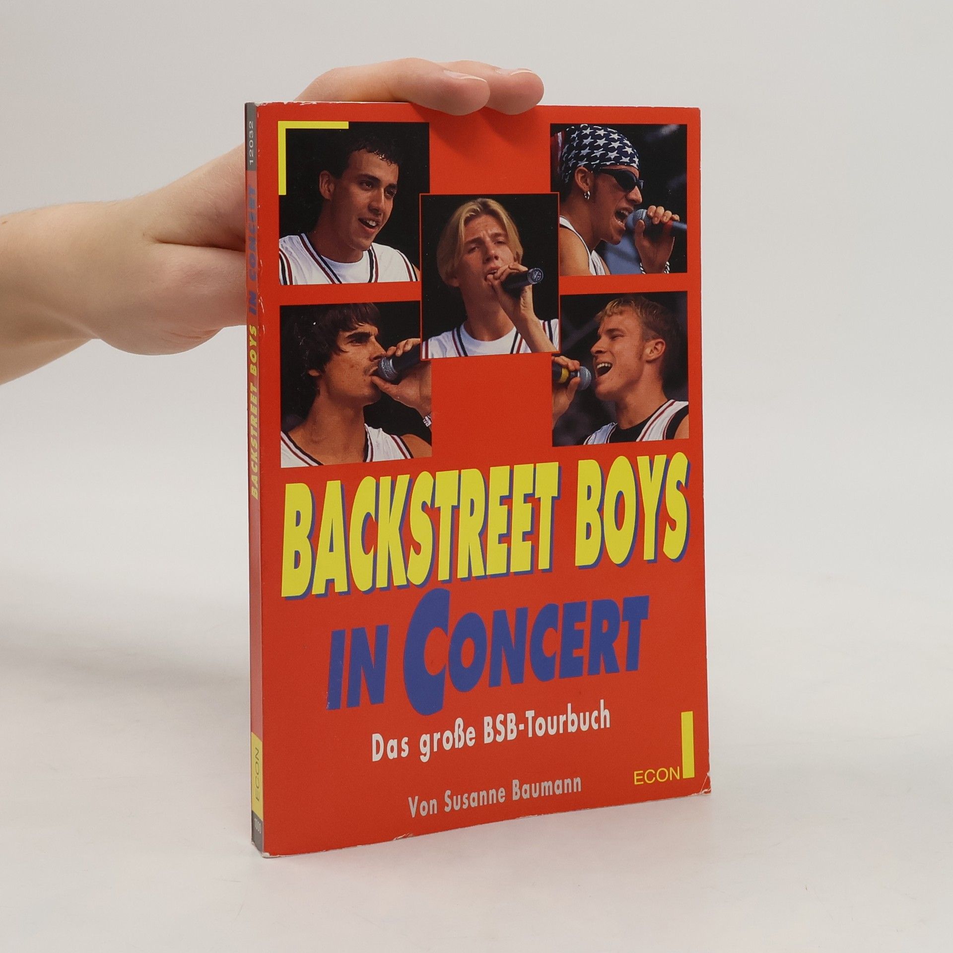 Susanne Baumann Backstreet Boys in concert