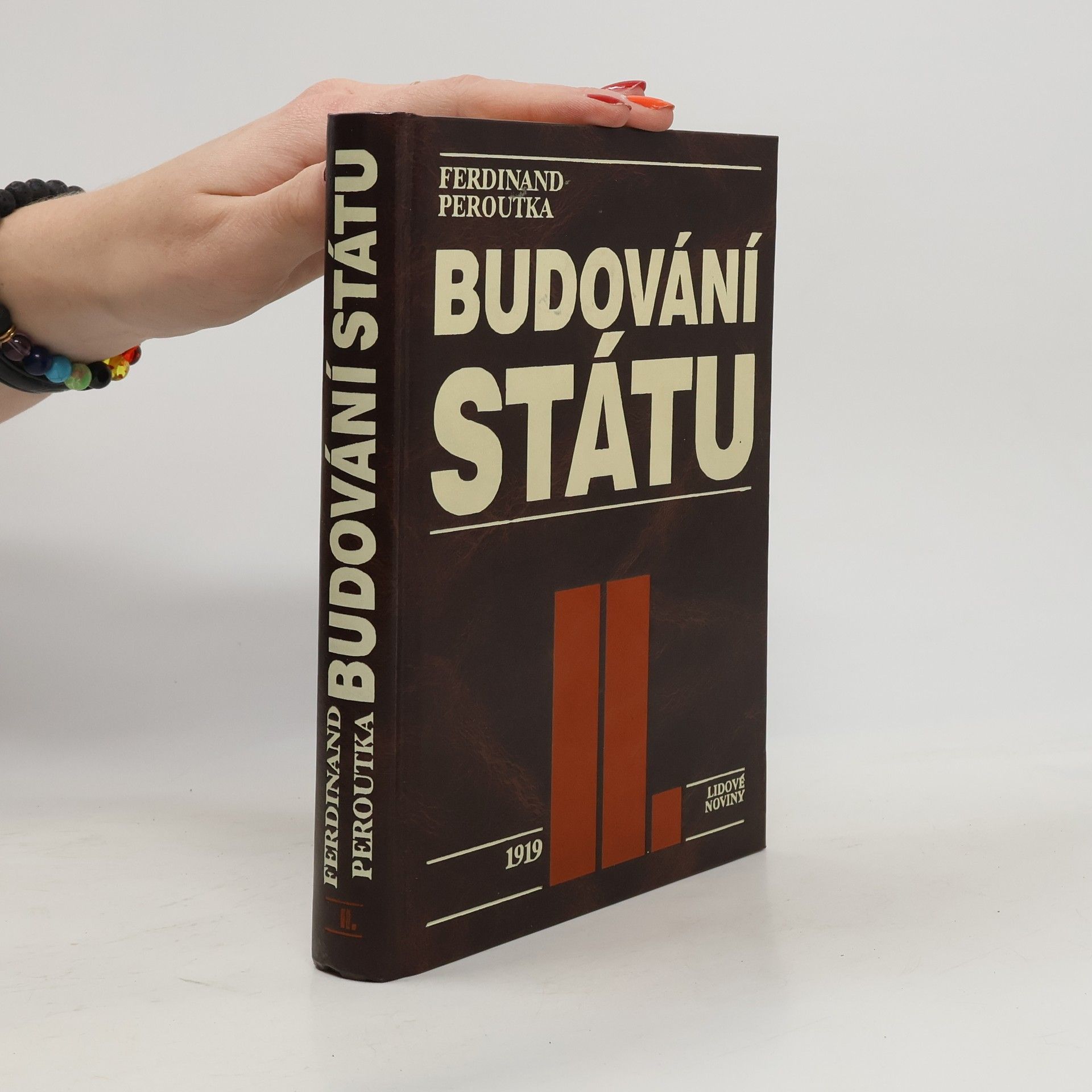 Budování státu II. 1919