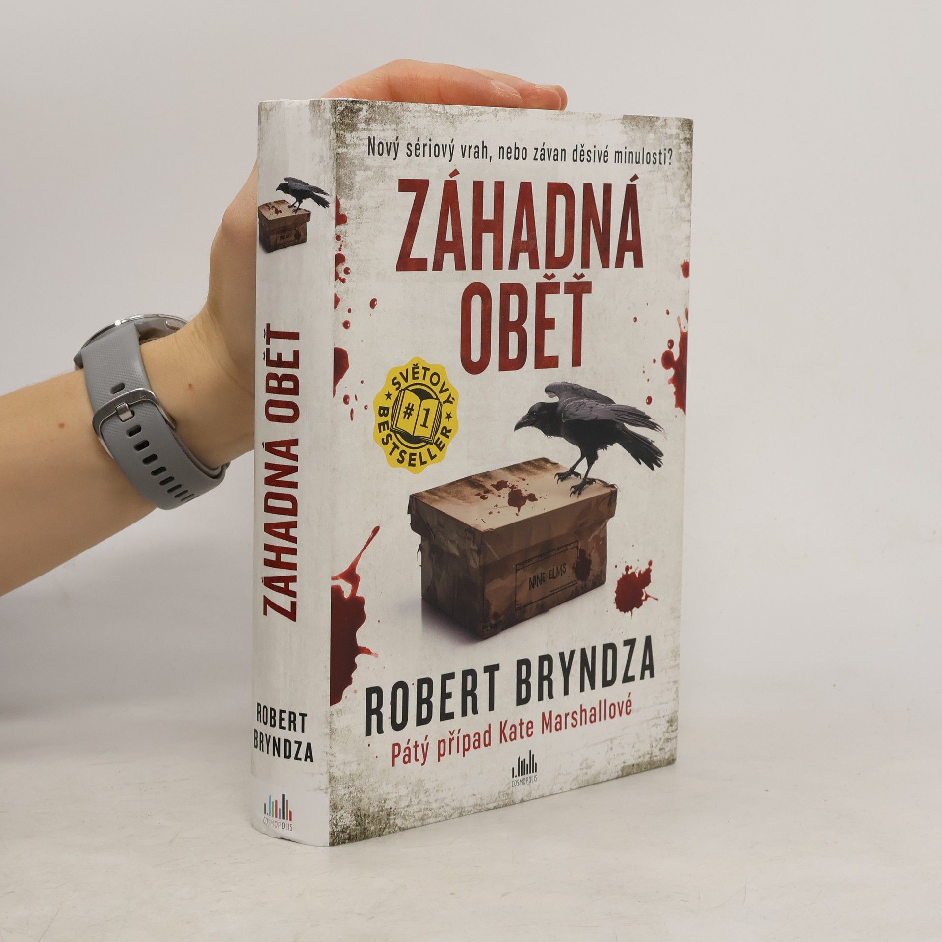 Robert Bryndza Záhadná oběť