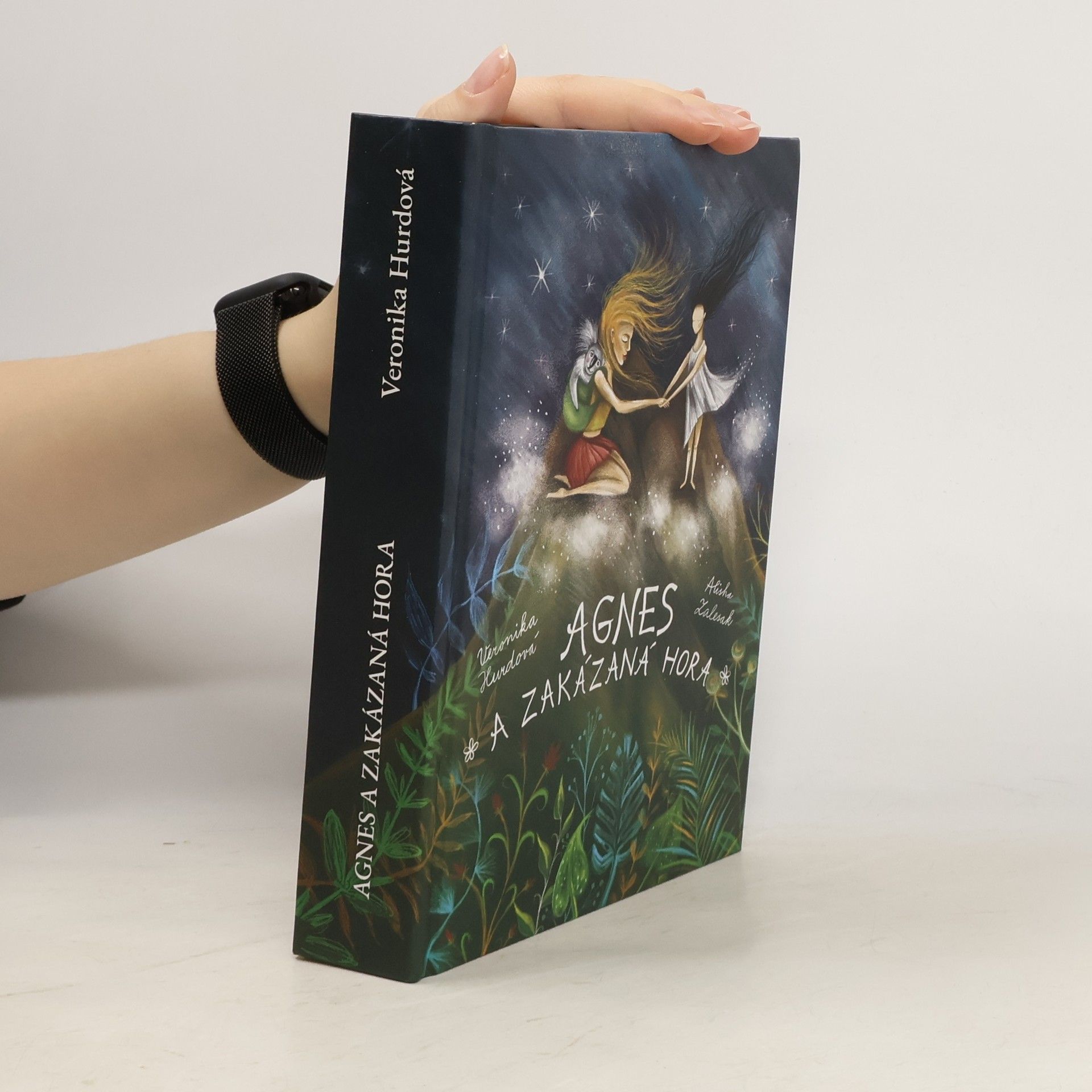 Agnes a Zakázaná hora