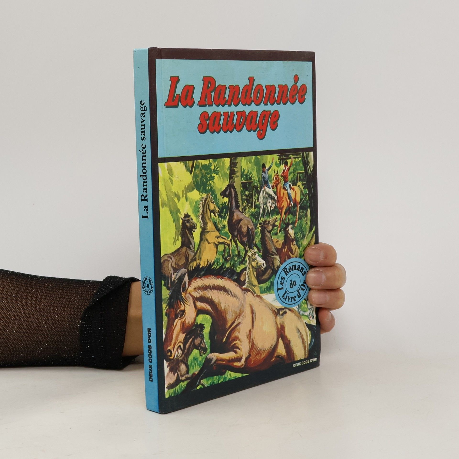 Dorothy Baldock La randonnée sauvage et autres histoires de chevaux