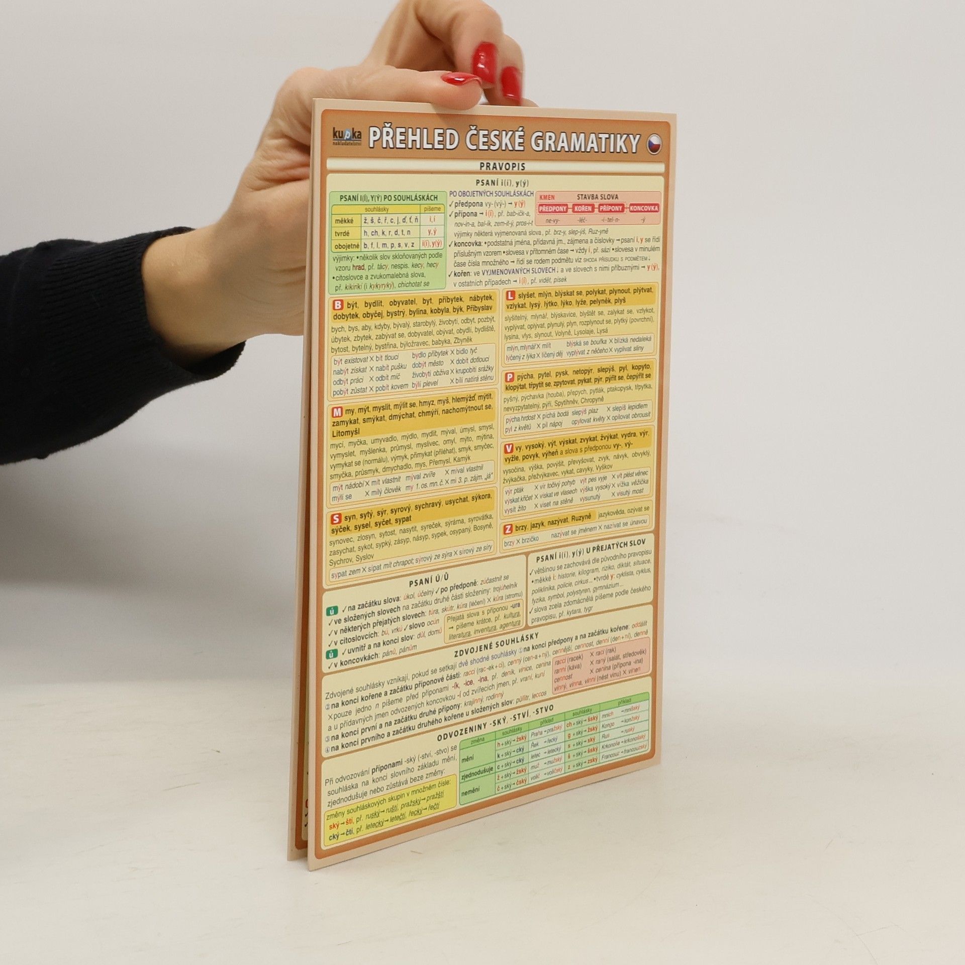 Přehled české gramatiky