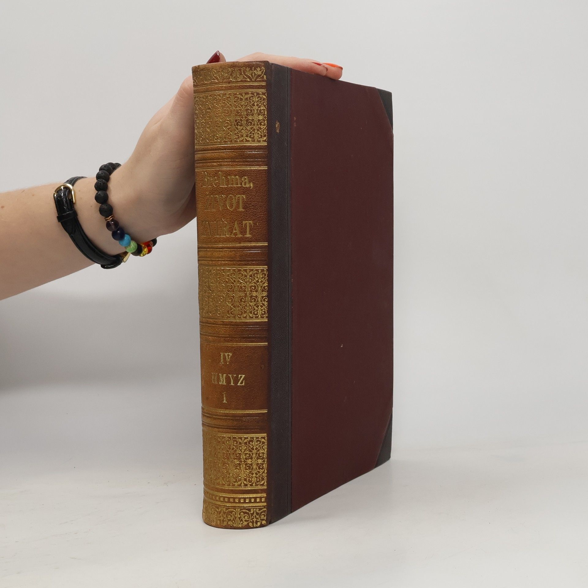 Alfred Edmund Brehm Život zvířat IV. Svazek I. Hmyz