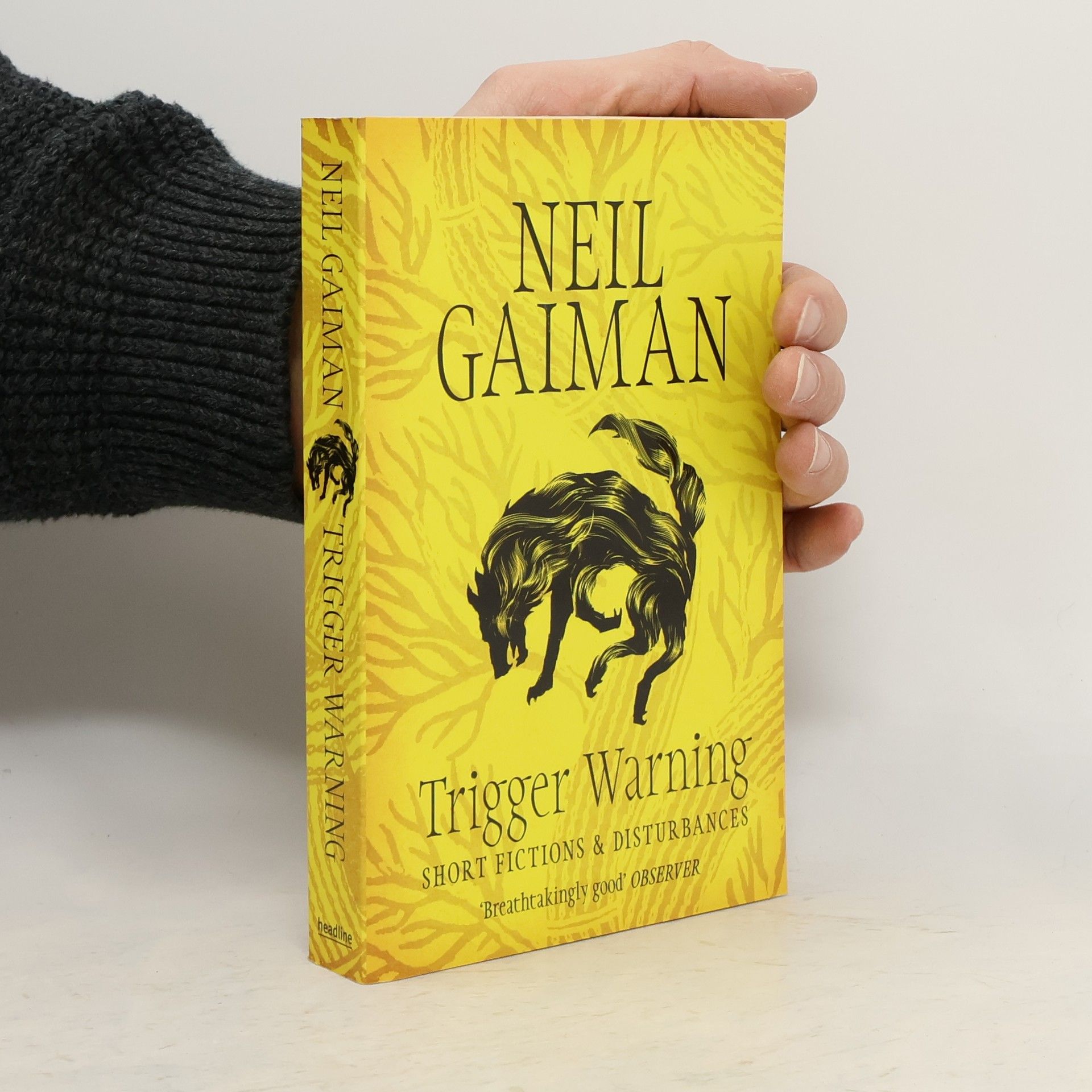 Neil Gaiman Trigger Warning: Short Fictions and Disturbances