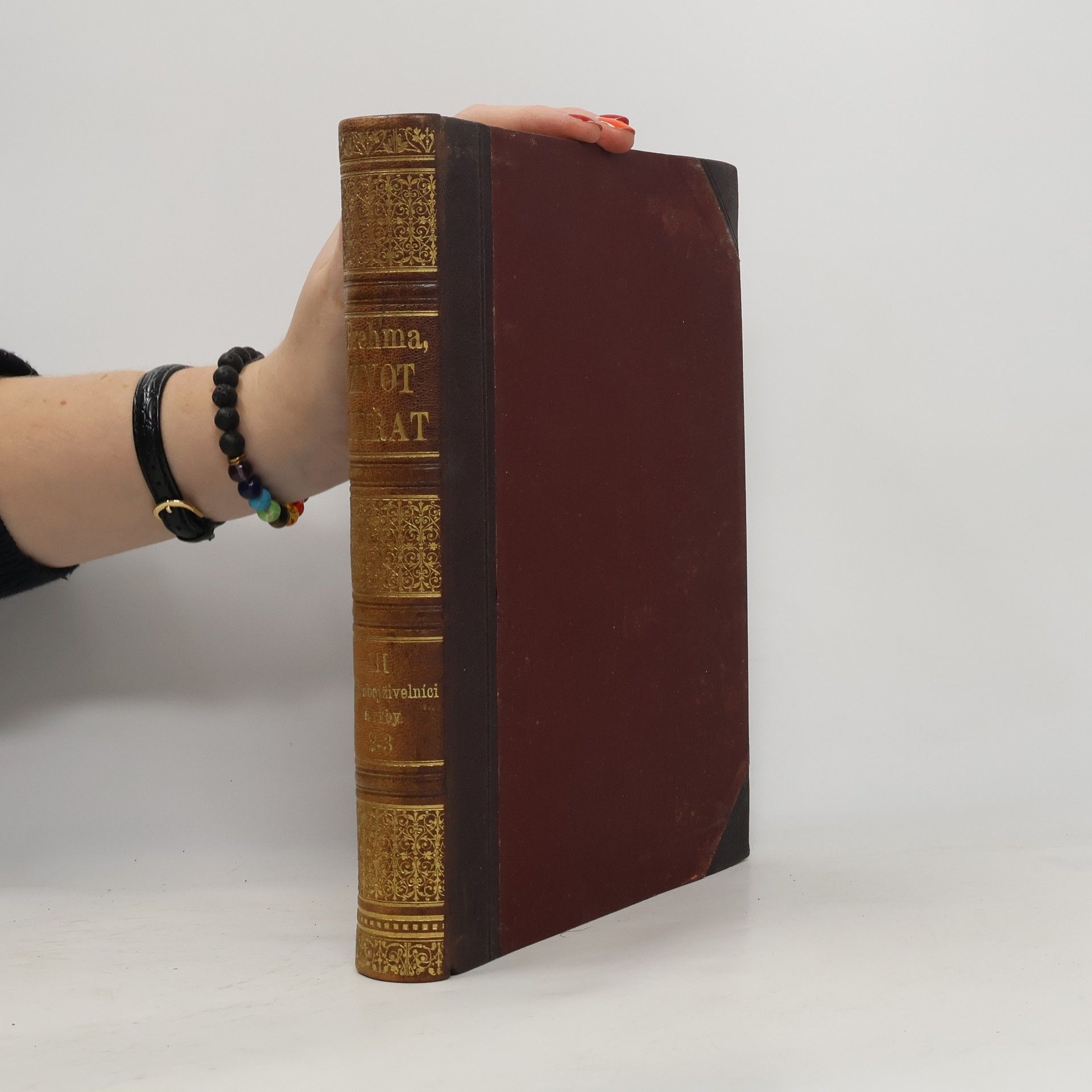 Kolektiv autorů Brehmův život zvířat III. Plazi, obojživelníci a ryby