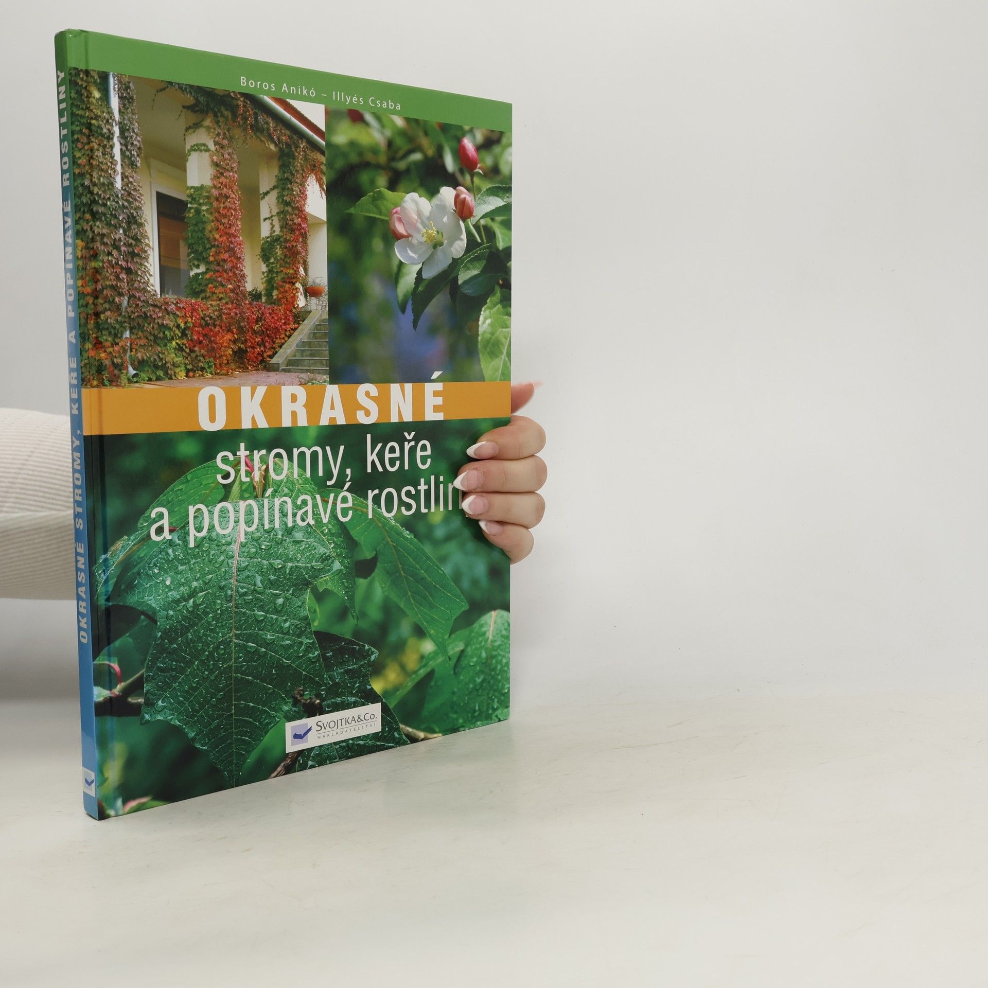 Boros Anikó Okrasné stromy, keře a popínavé rostliny