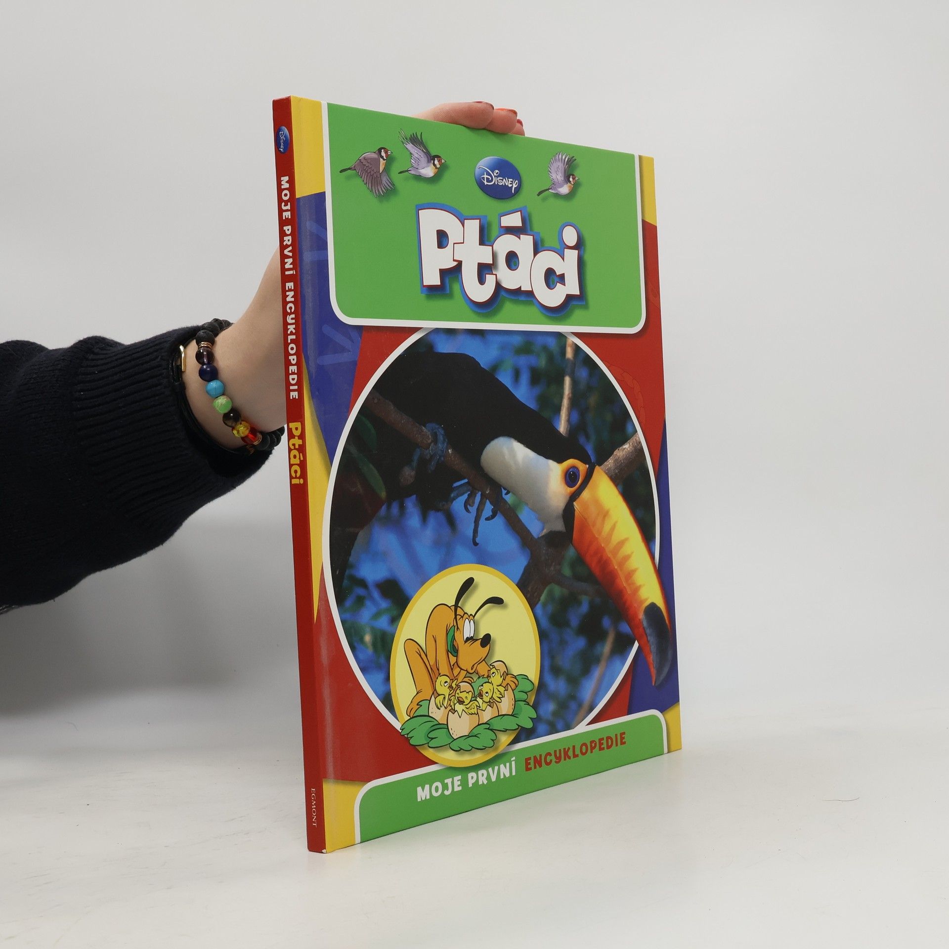 Walt Disney Moje první encyklopedie - Ptáci