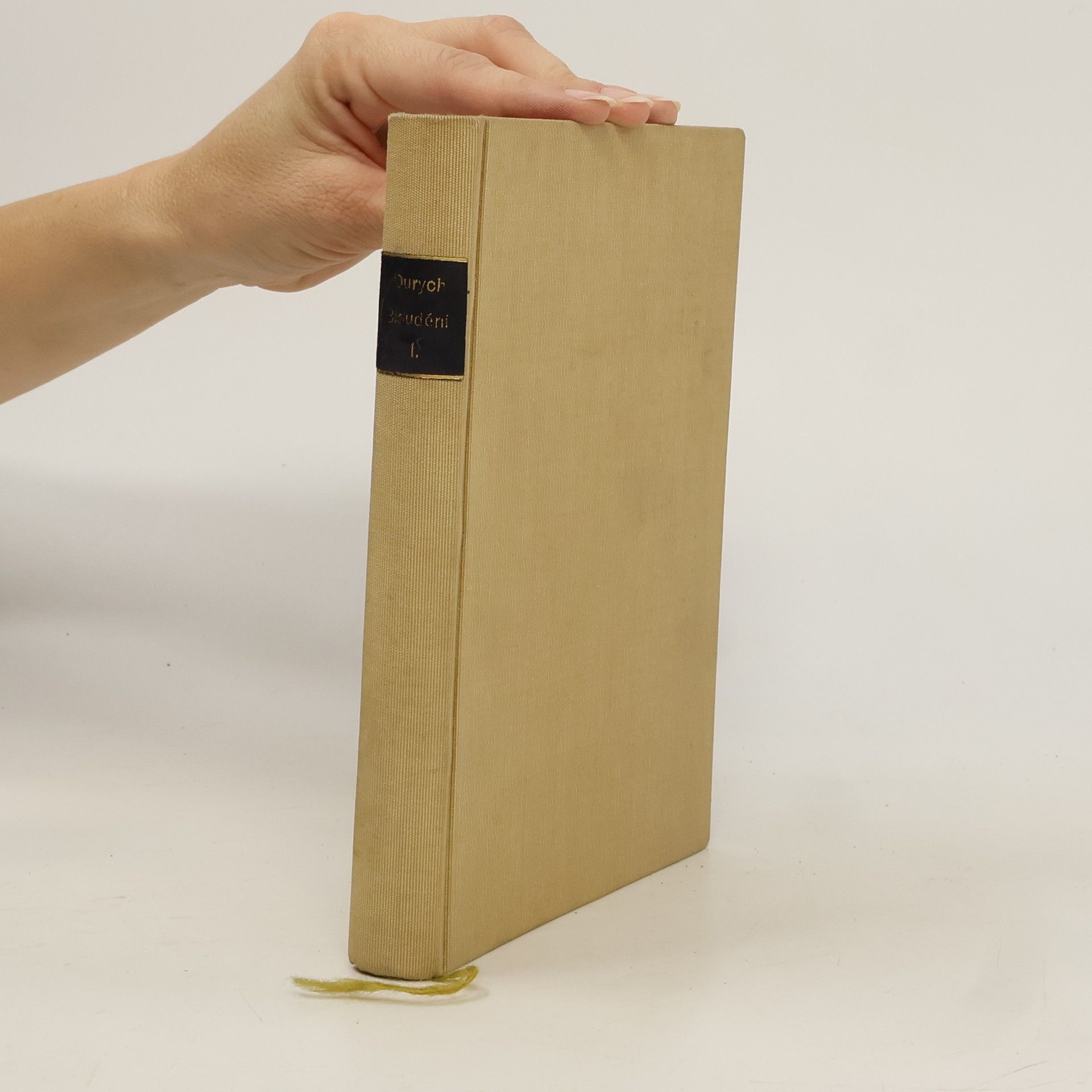 Jaroslav Durych Bloudění. Větší Valdštejnská trilogie část 1