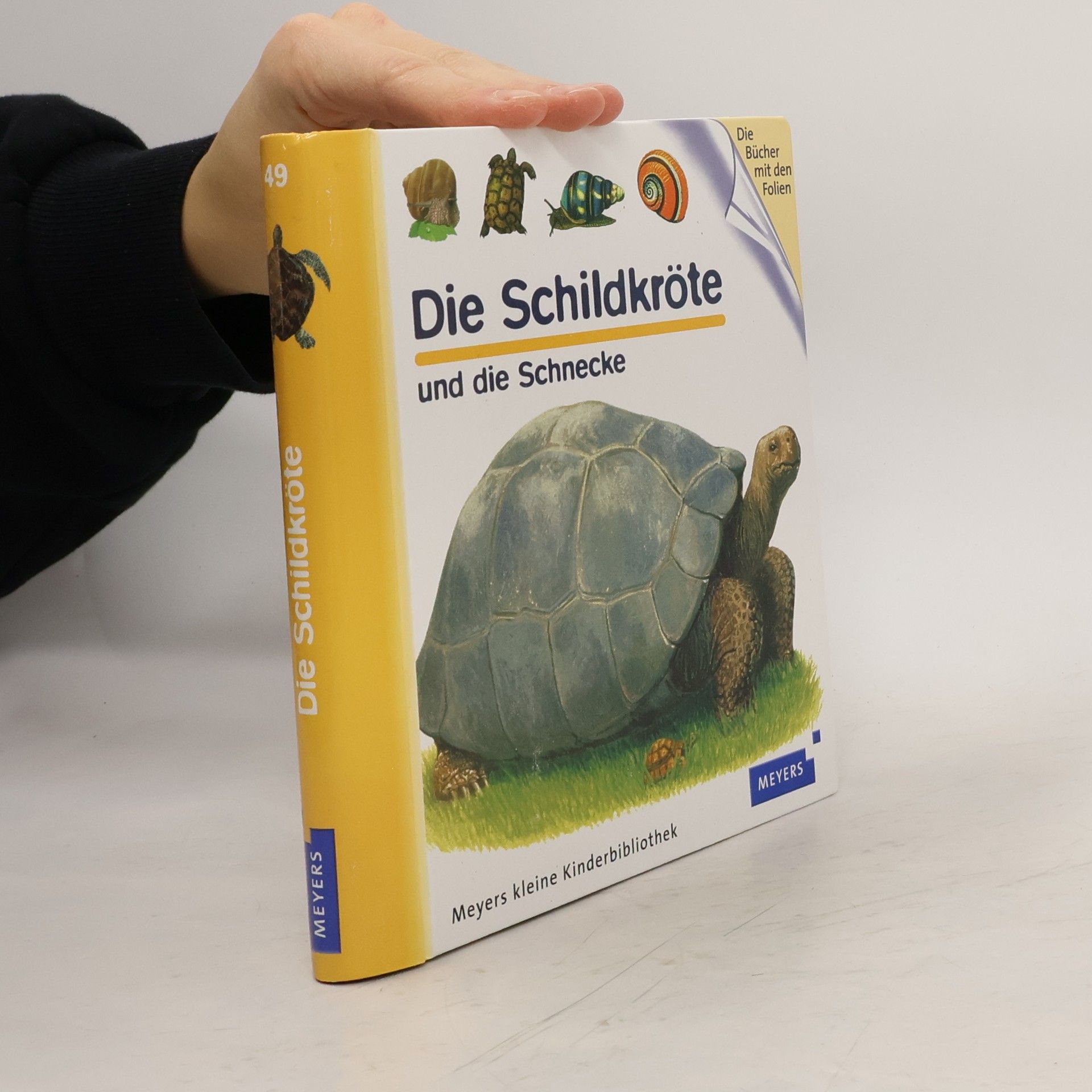 Autorenkollektiv Die Schildkröte und die Schnecke