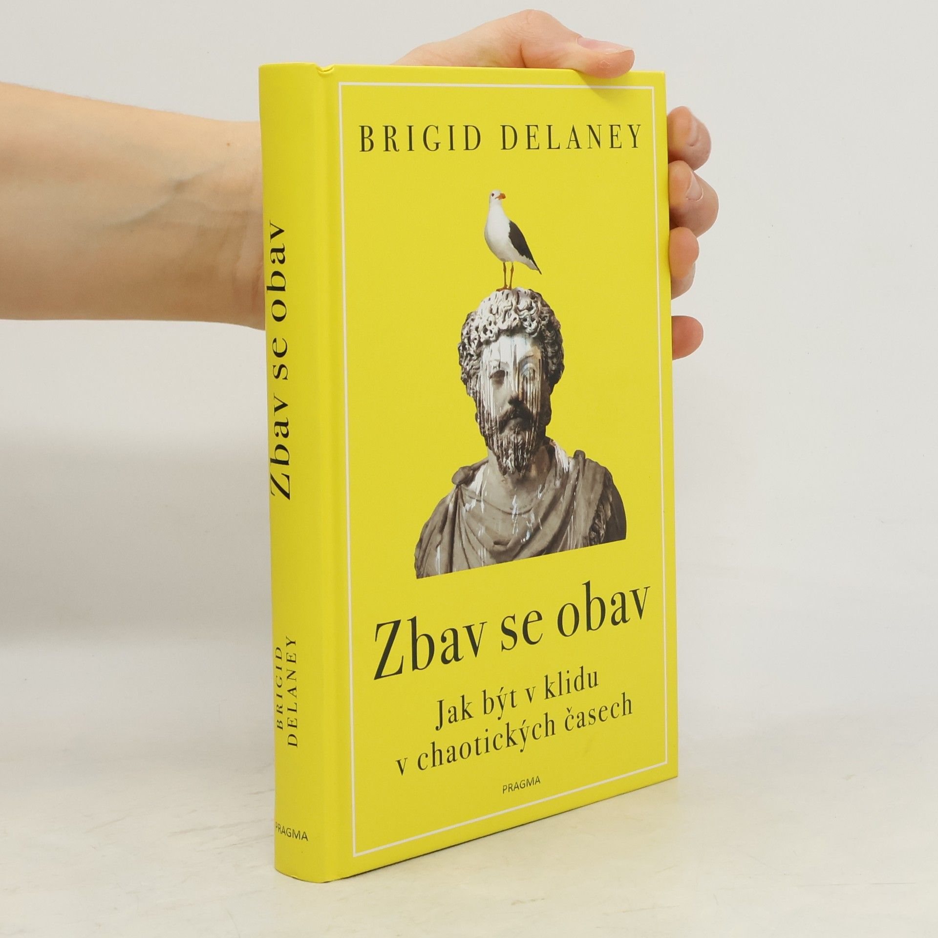 Brigid Delaney Zbav se obav. Jak být v klidu v chaotických časech