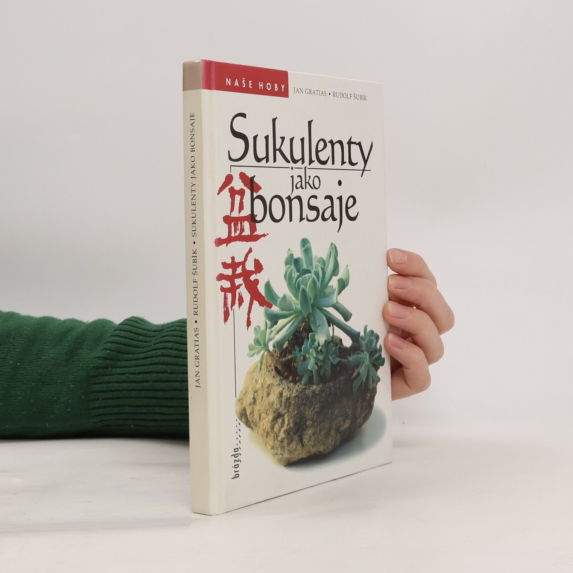 Sukulenty jako bonsaje