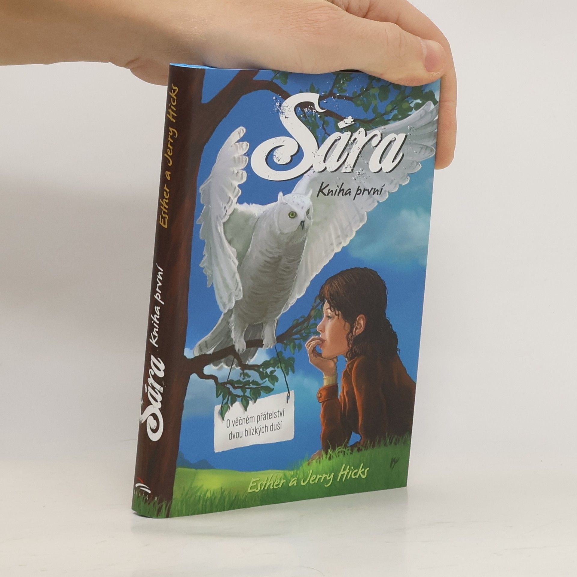 Esther Hicks Sára. Kniha první, O věčném přátelství dvou blízkých duší