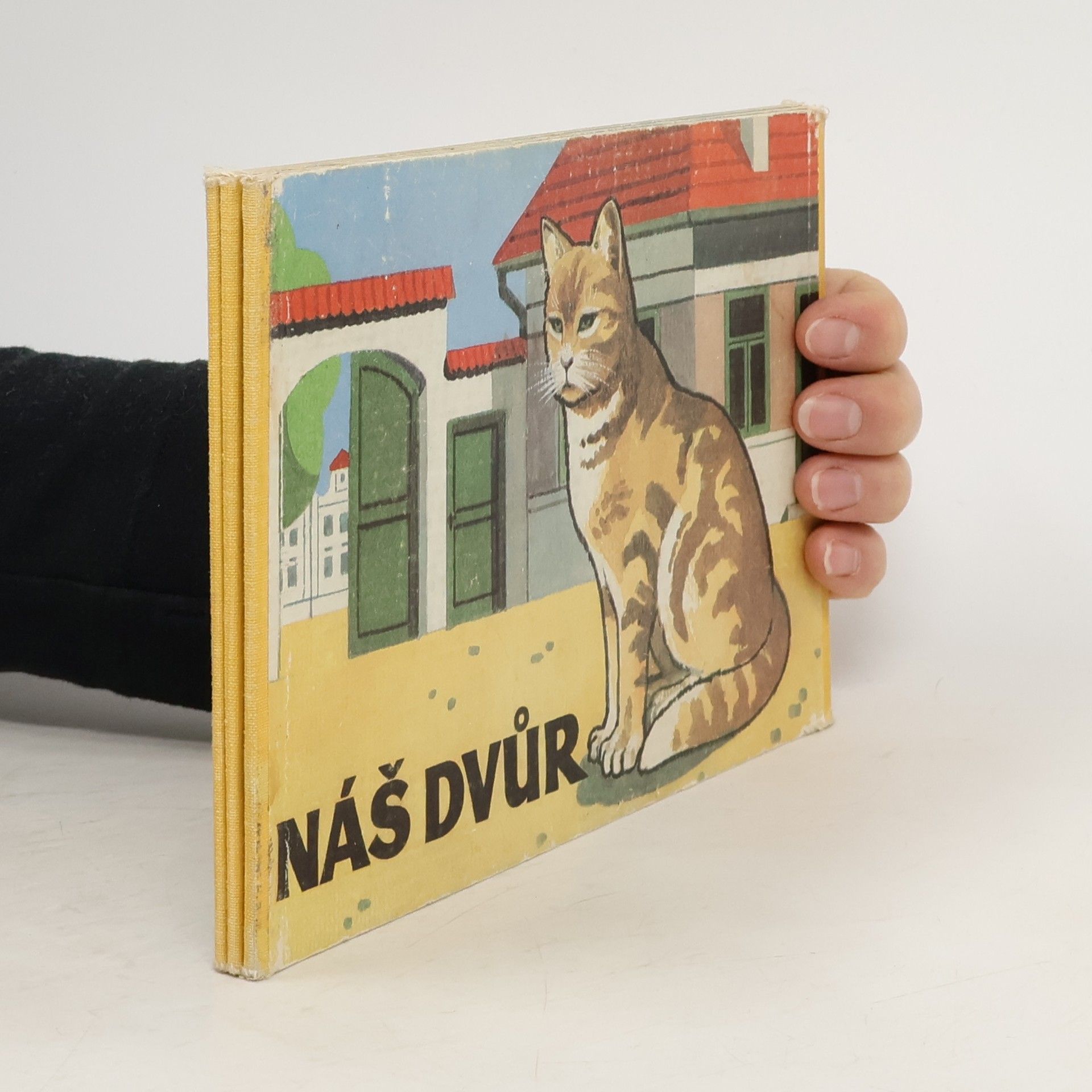 Collectif d'auteurs Náš dvůr