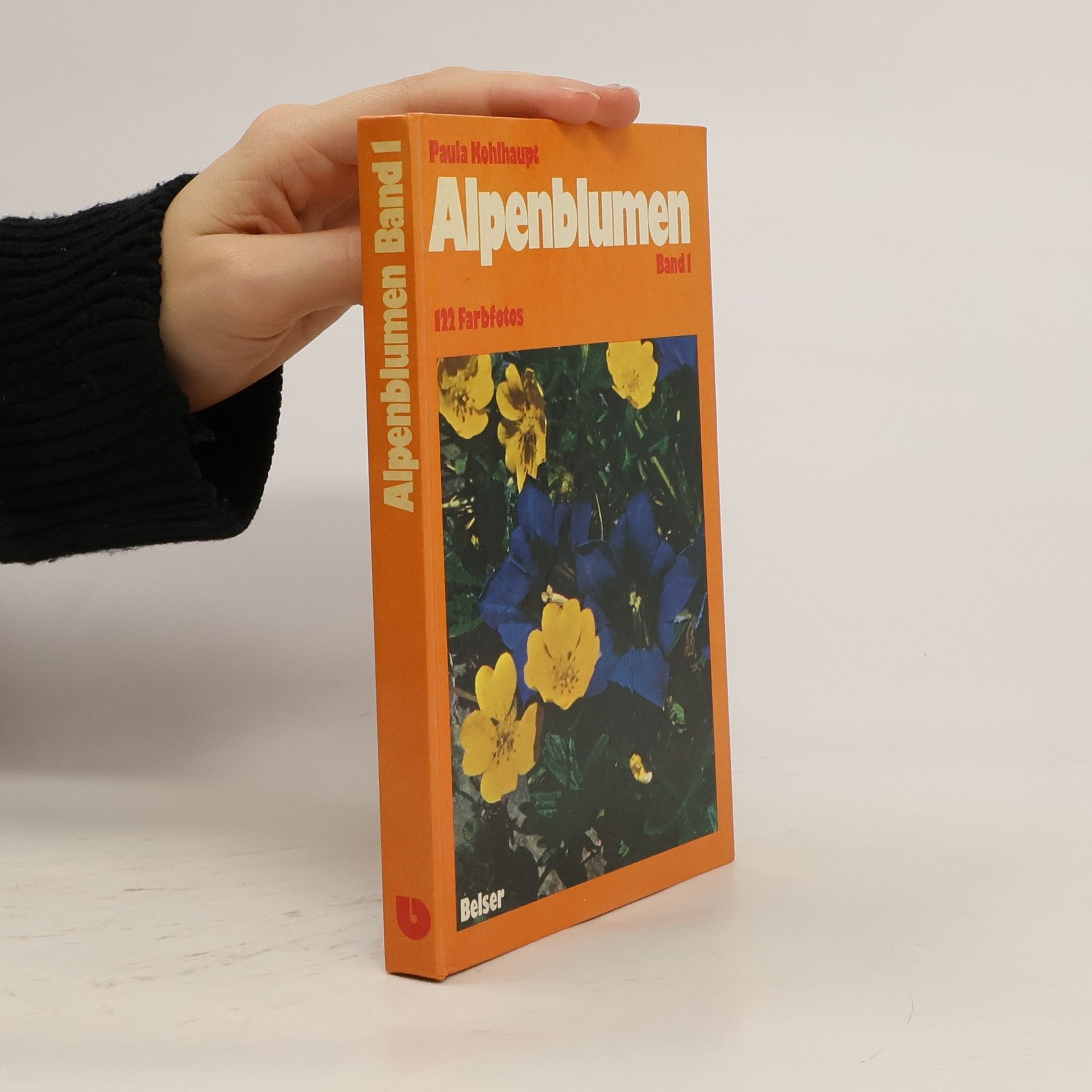 Paula Kohlhaupt Alpenblumen