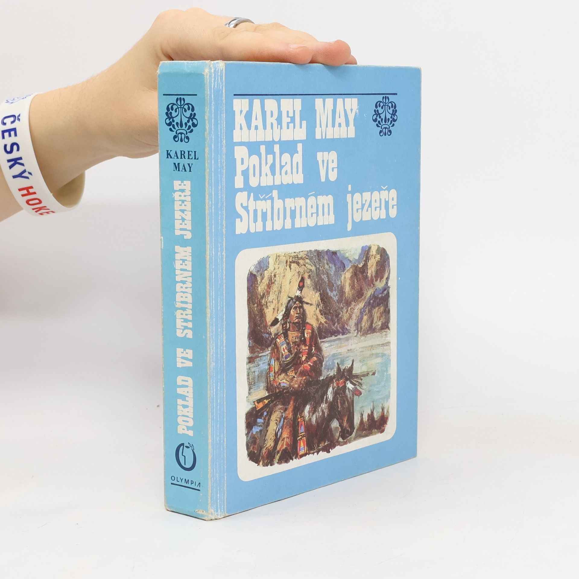 Poklad ve Stříbrném jezeře