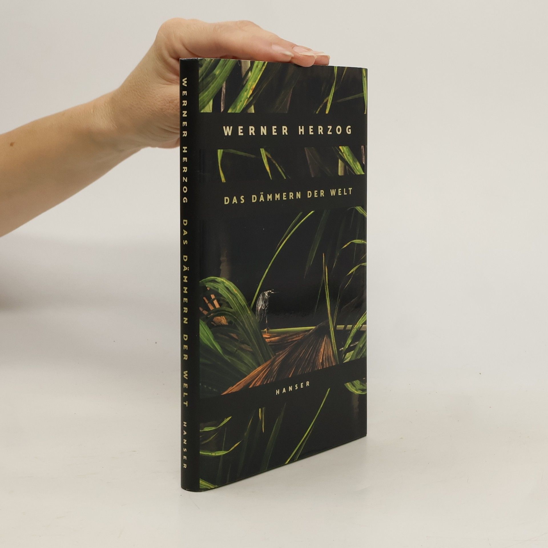 Das Dämmern der Welt