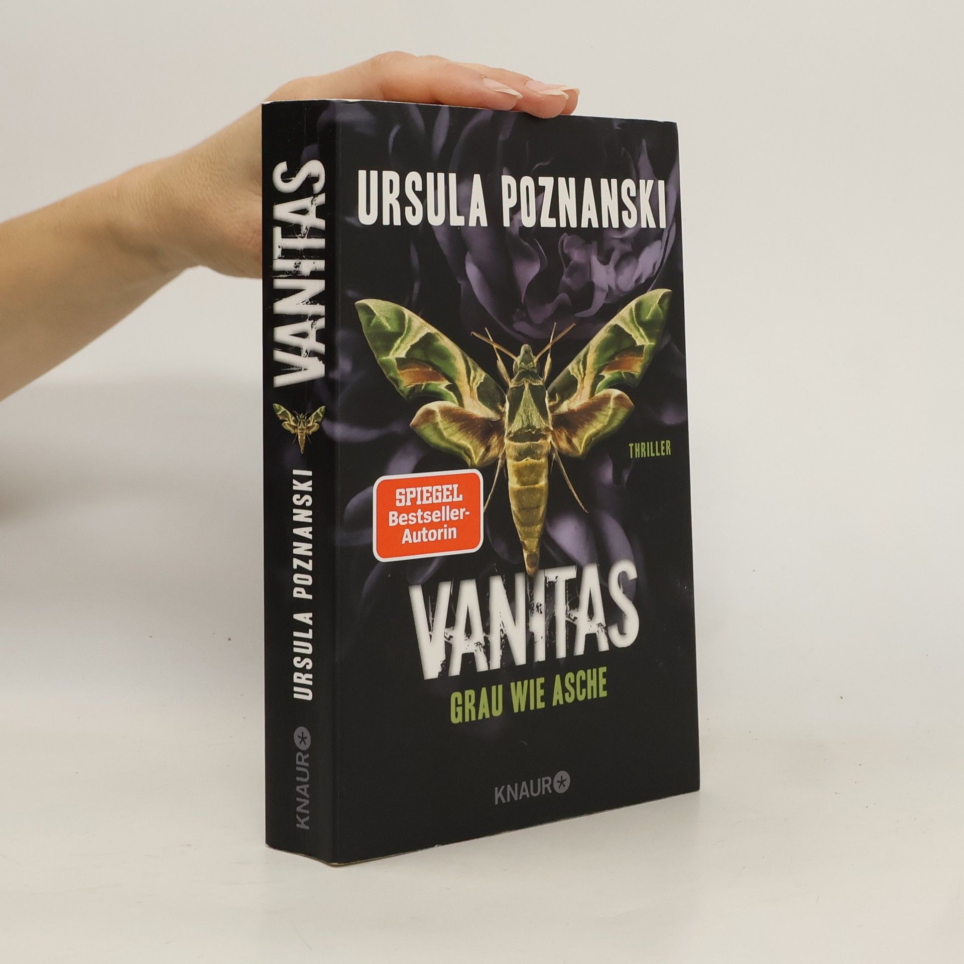 Ursula Poznanski Vanitas. Grau wie Asche