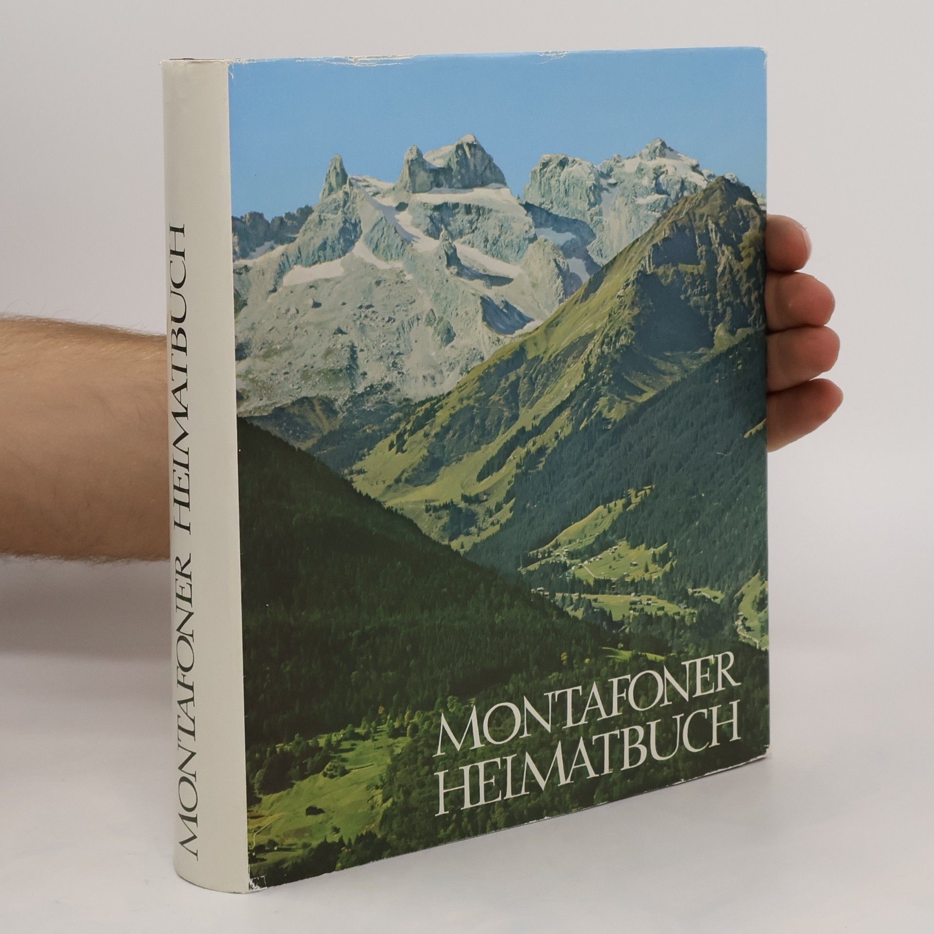 Stand Montafon Montafoner Heimatbuch