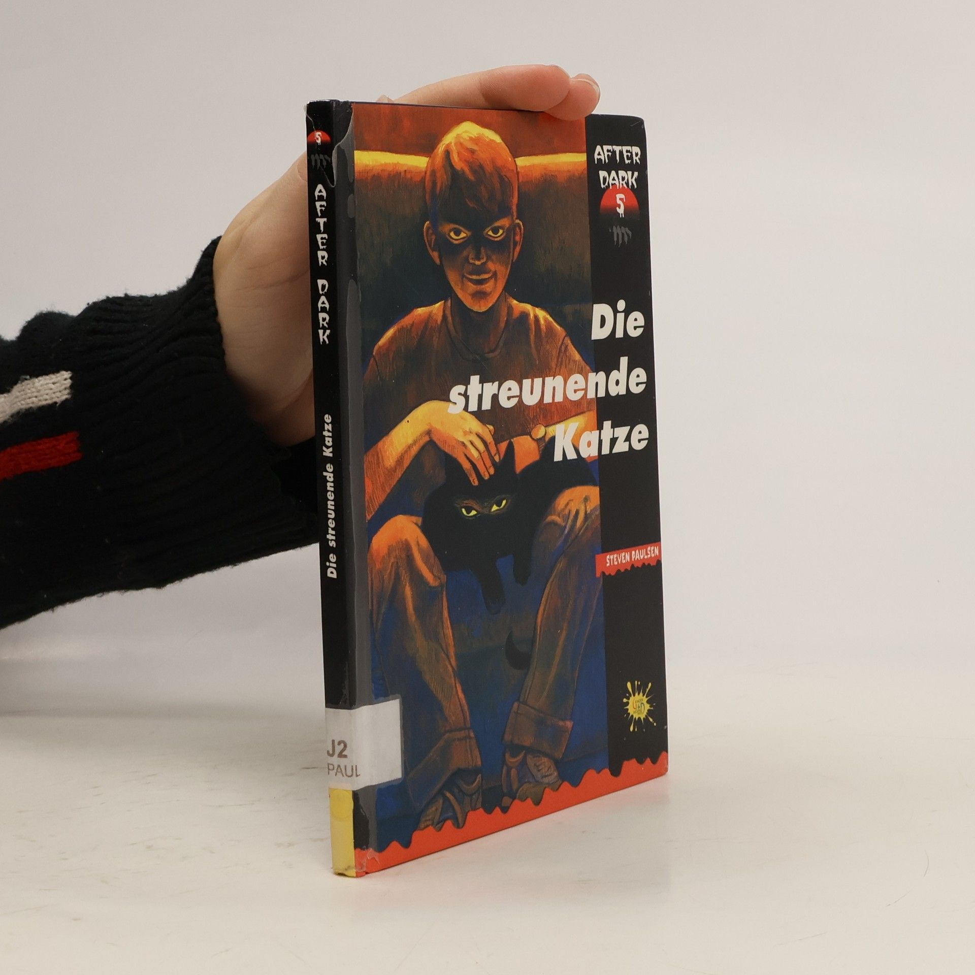 Steven Paulsen After Dark 5: Die streunende Katze