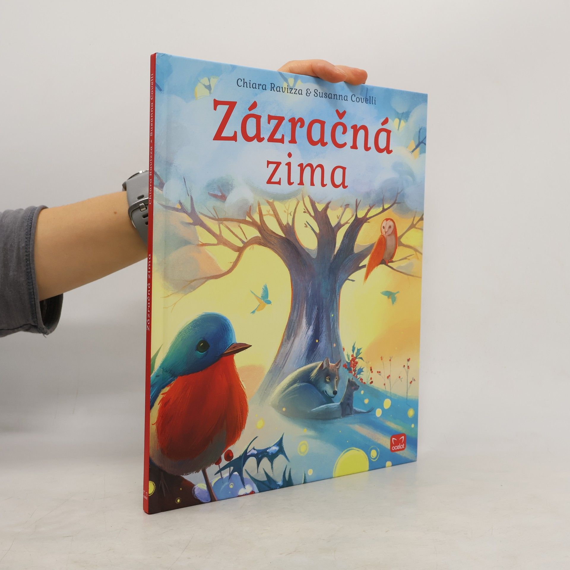 Chiara Ravizza Zázračná zima