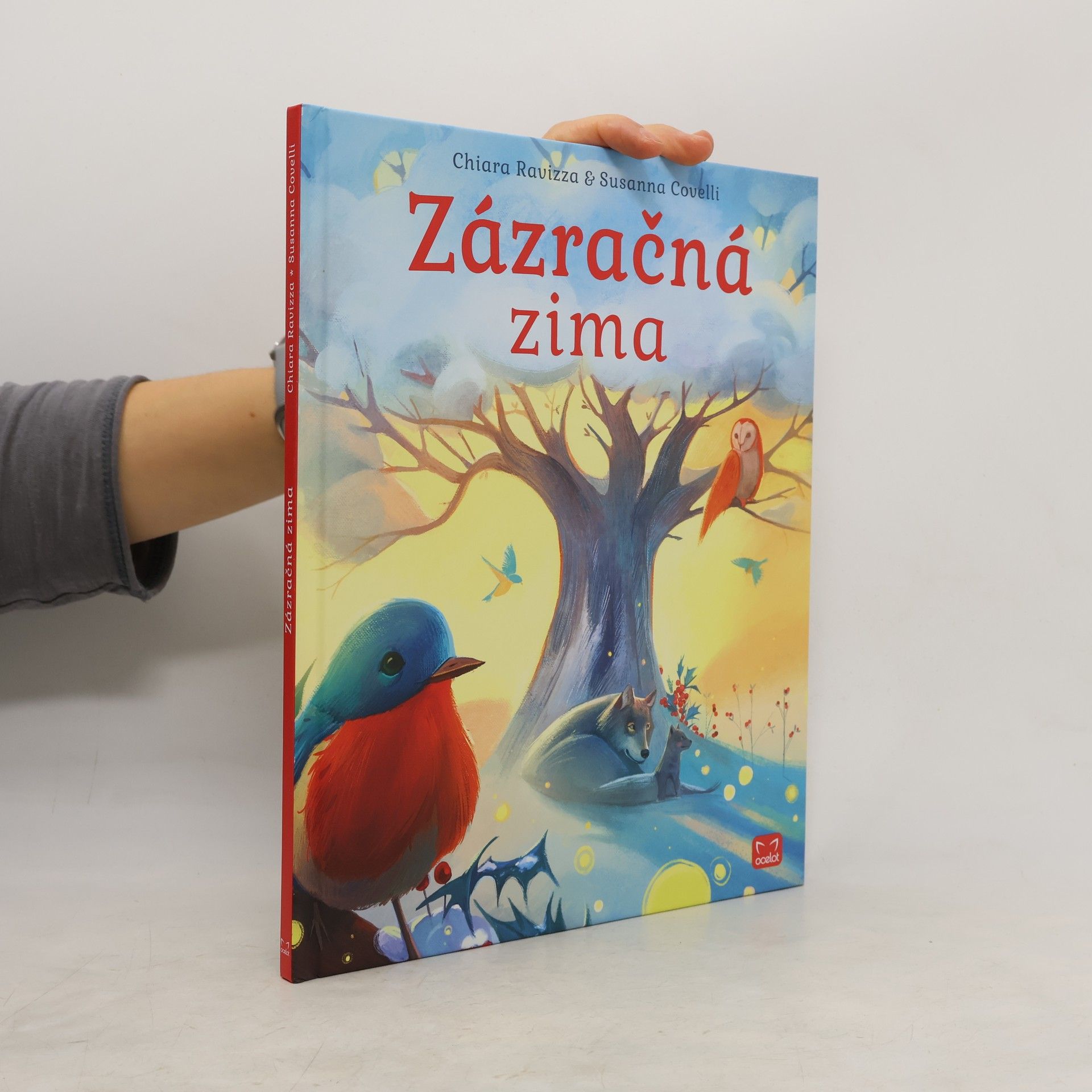 Chiara Ravizza Zázračná zima