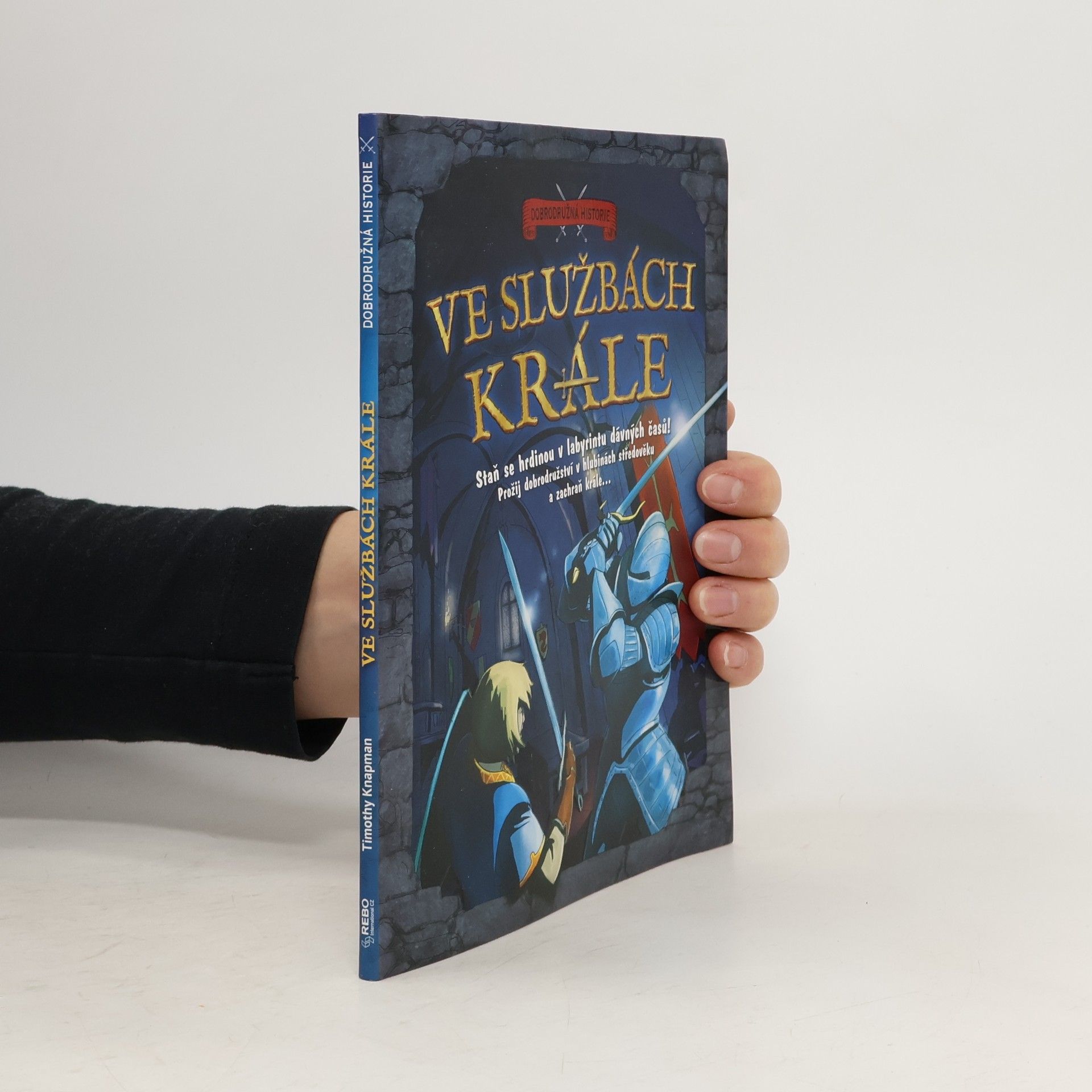 Ve službách krále