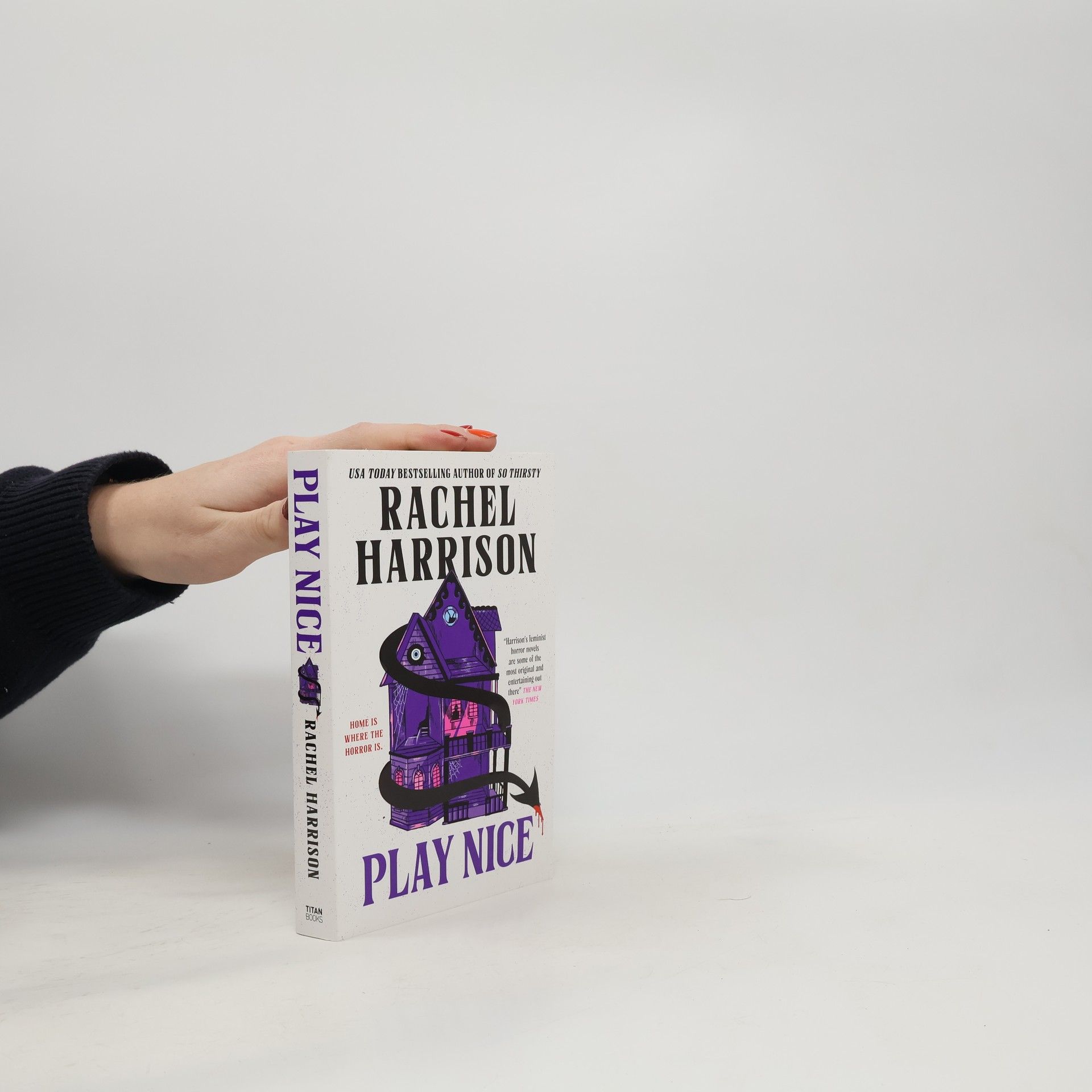 Rachel Harrison Play Nice