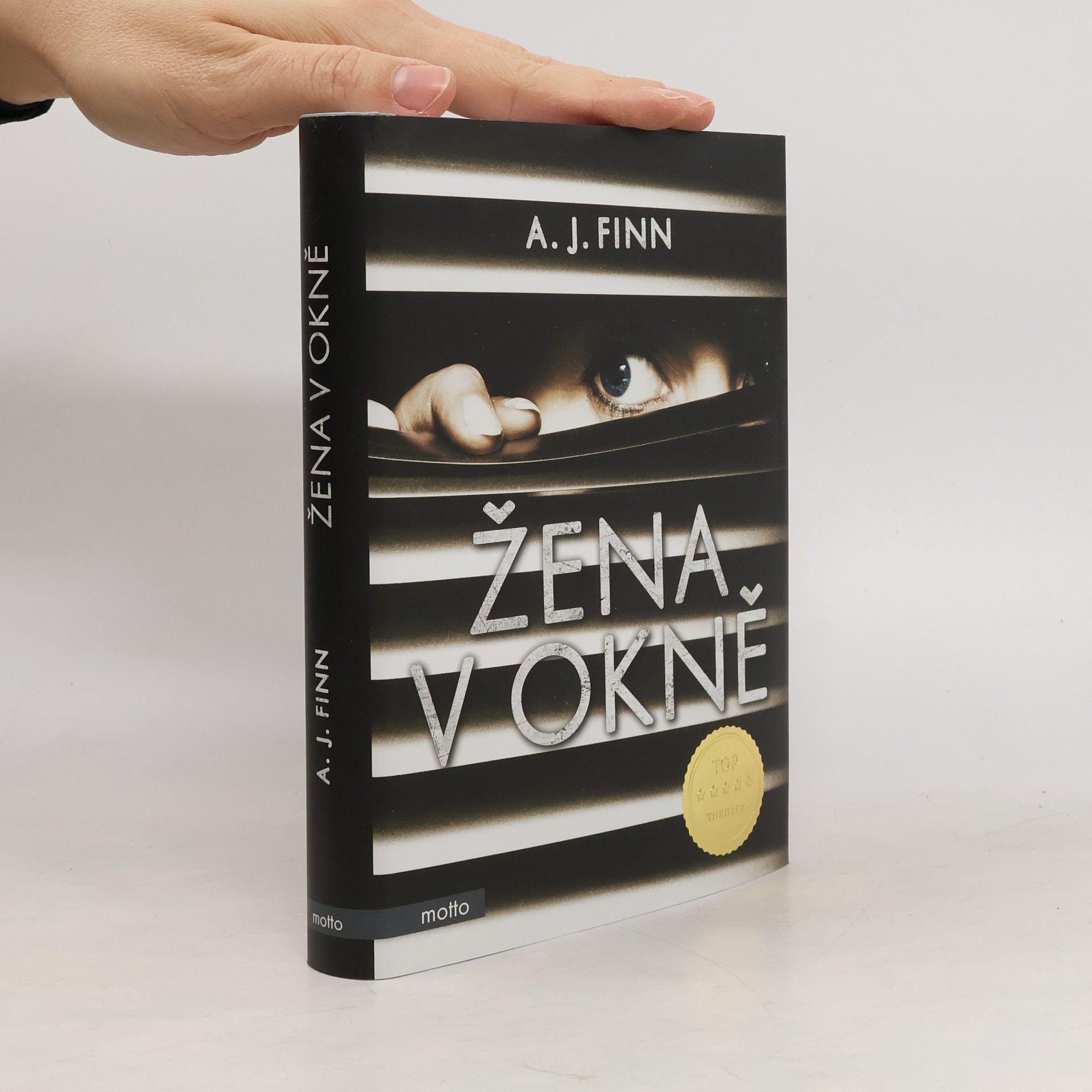 Daniel Mallory Žena v okně