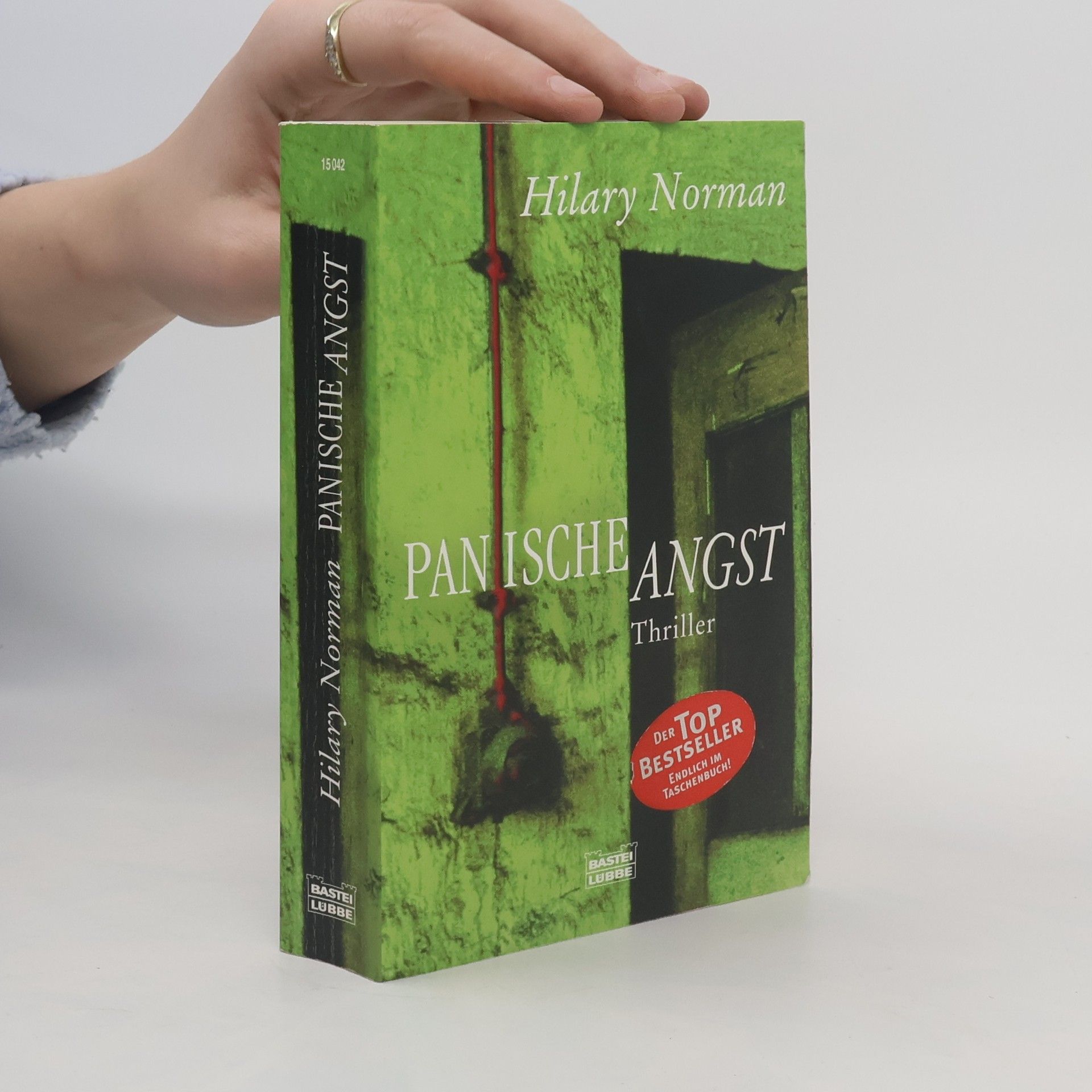 Hilary Norman Panische Angst