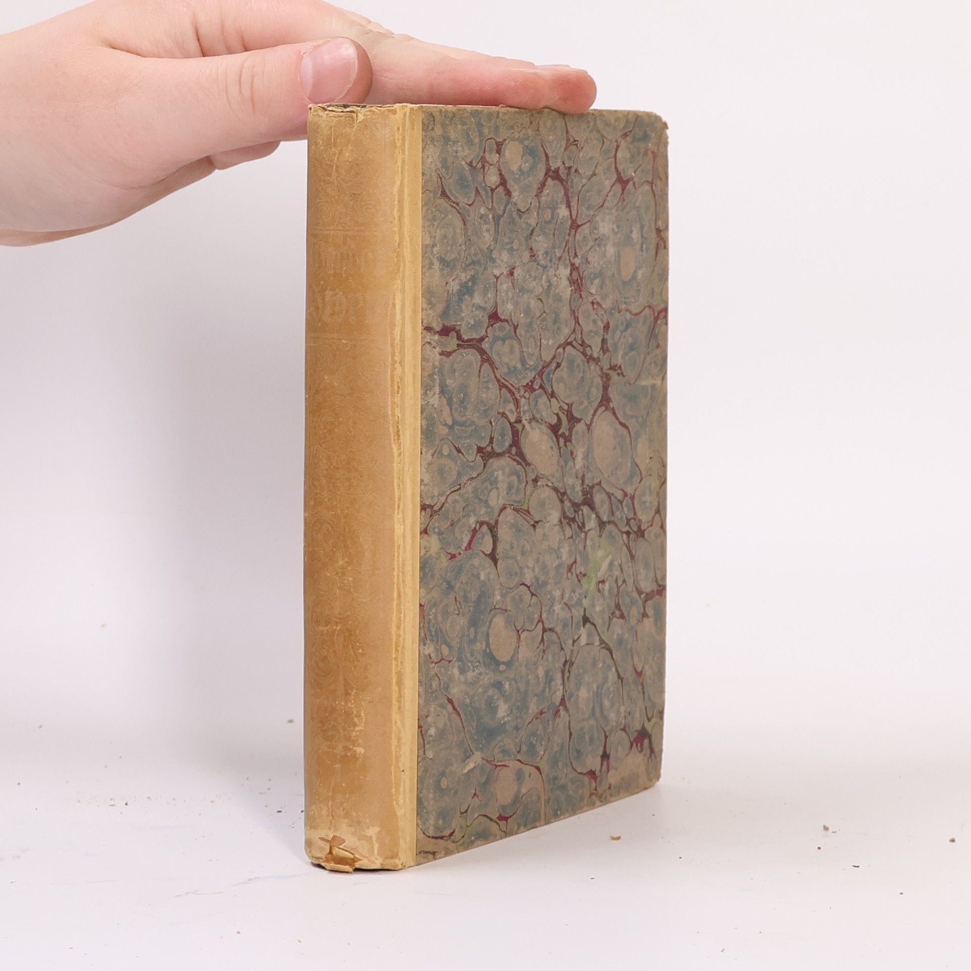 Theodor Storm Ausgewählte Werke 1